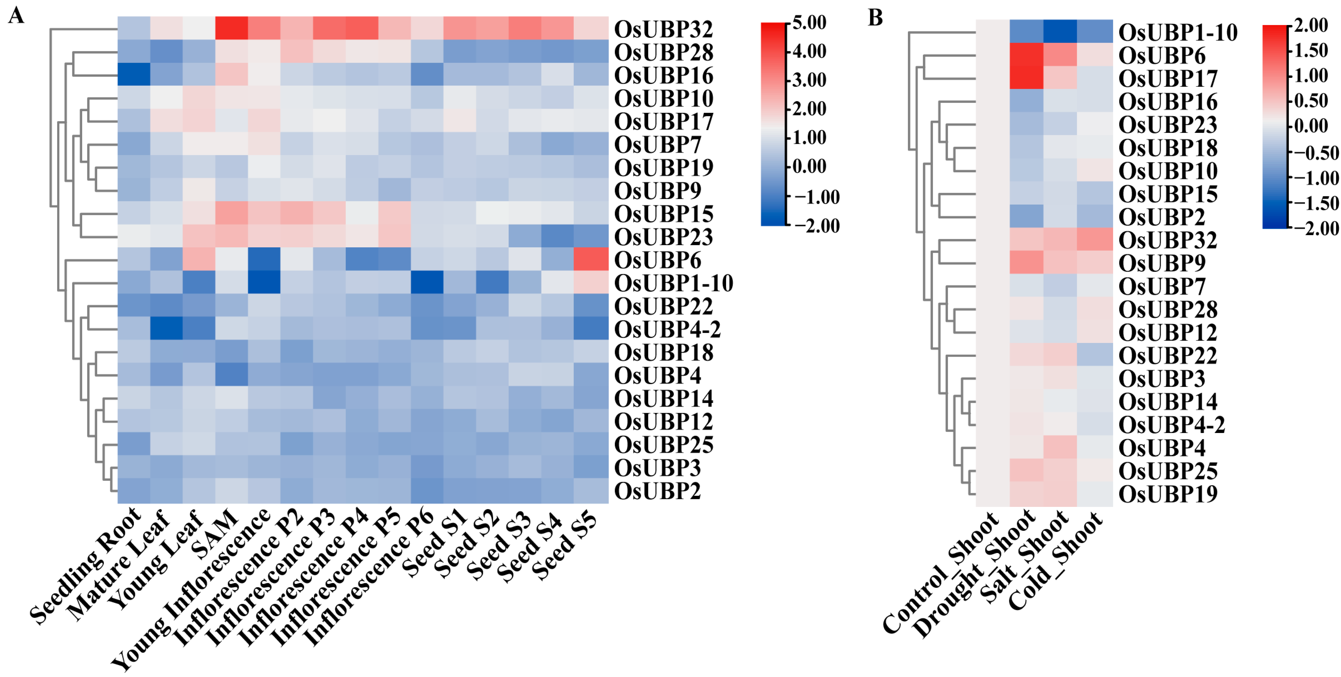 Agronomy 13 02809 g009
