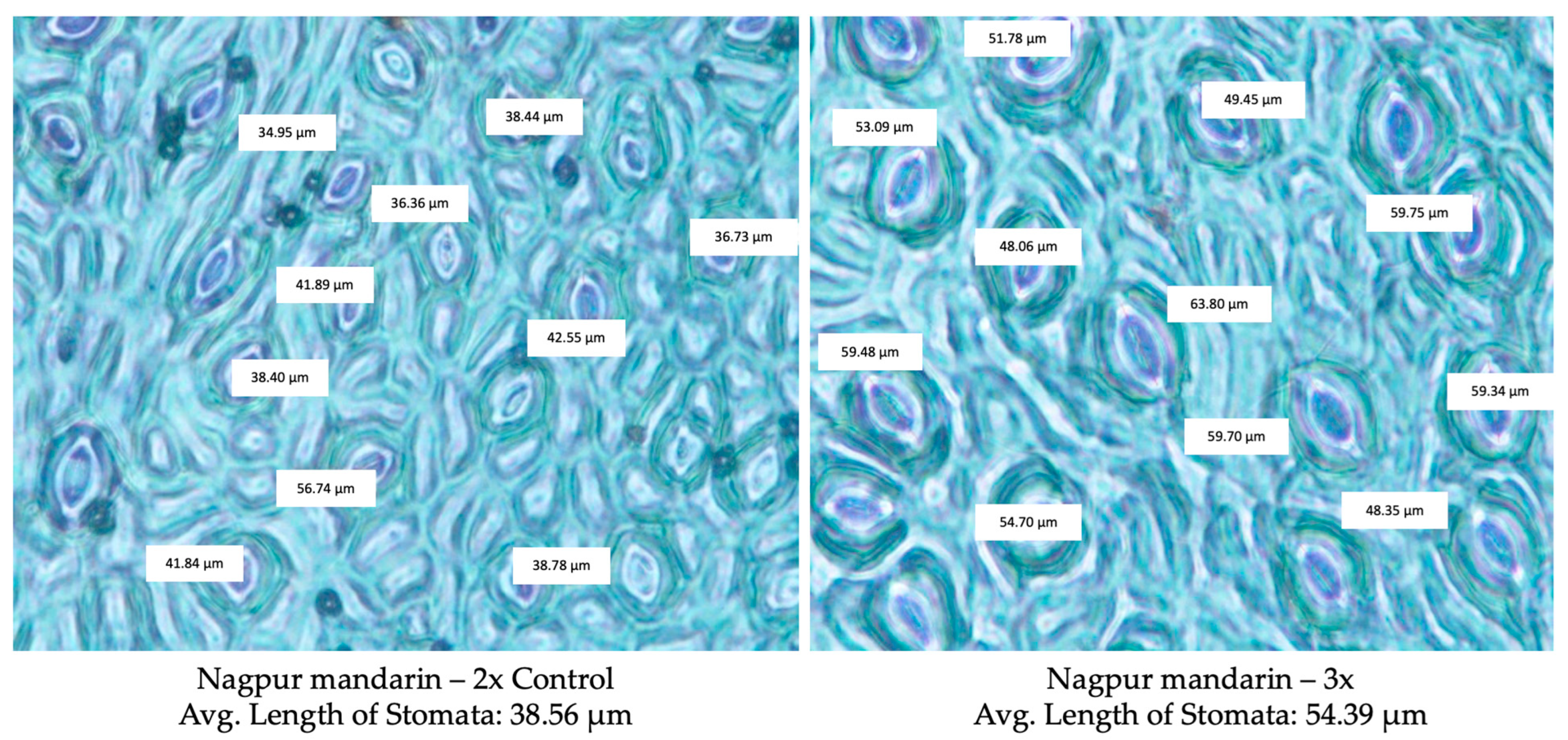 Agronomy 13 02814 g011