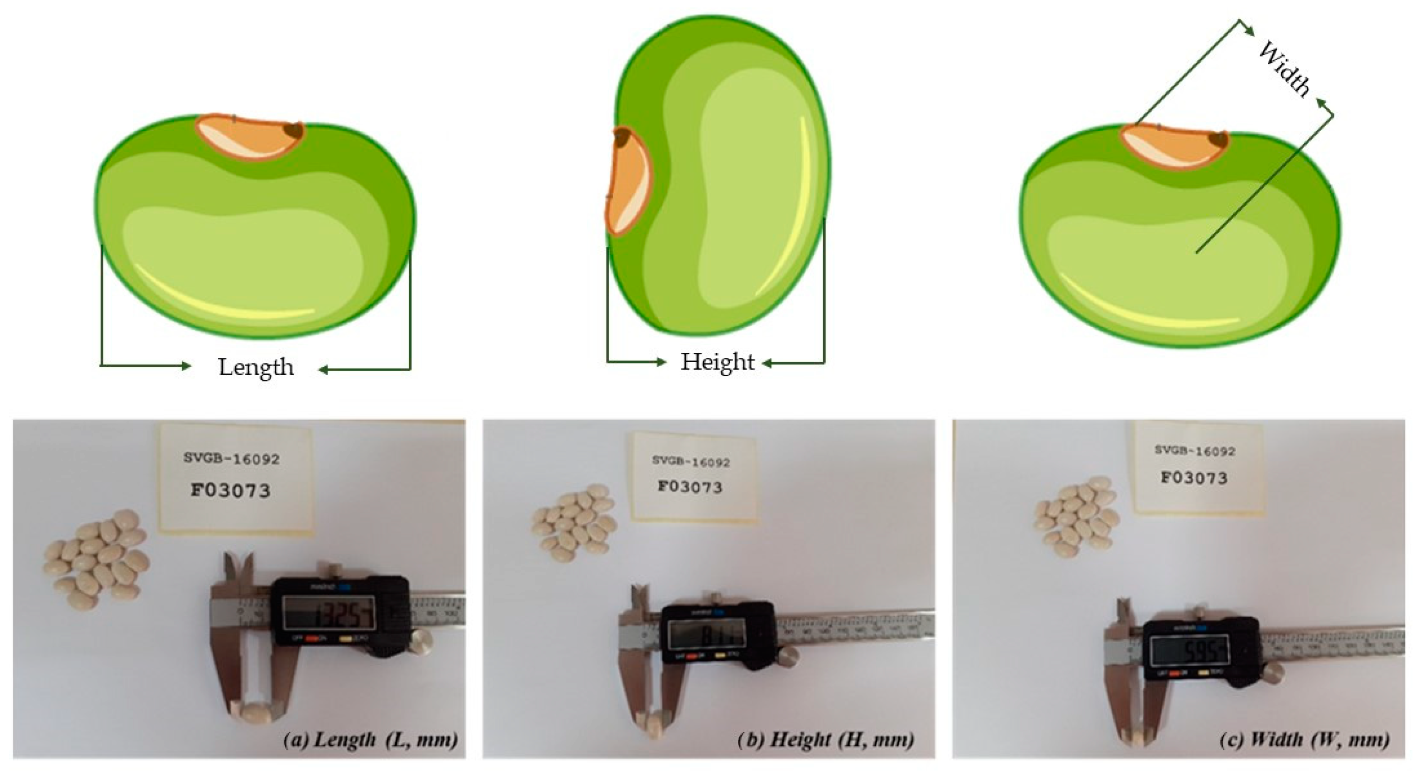 Agronomy 13 02820 g002