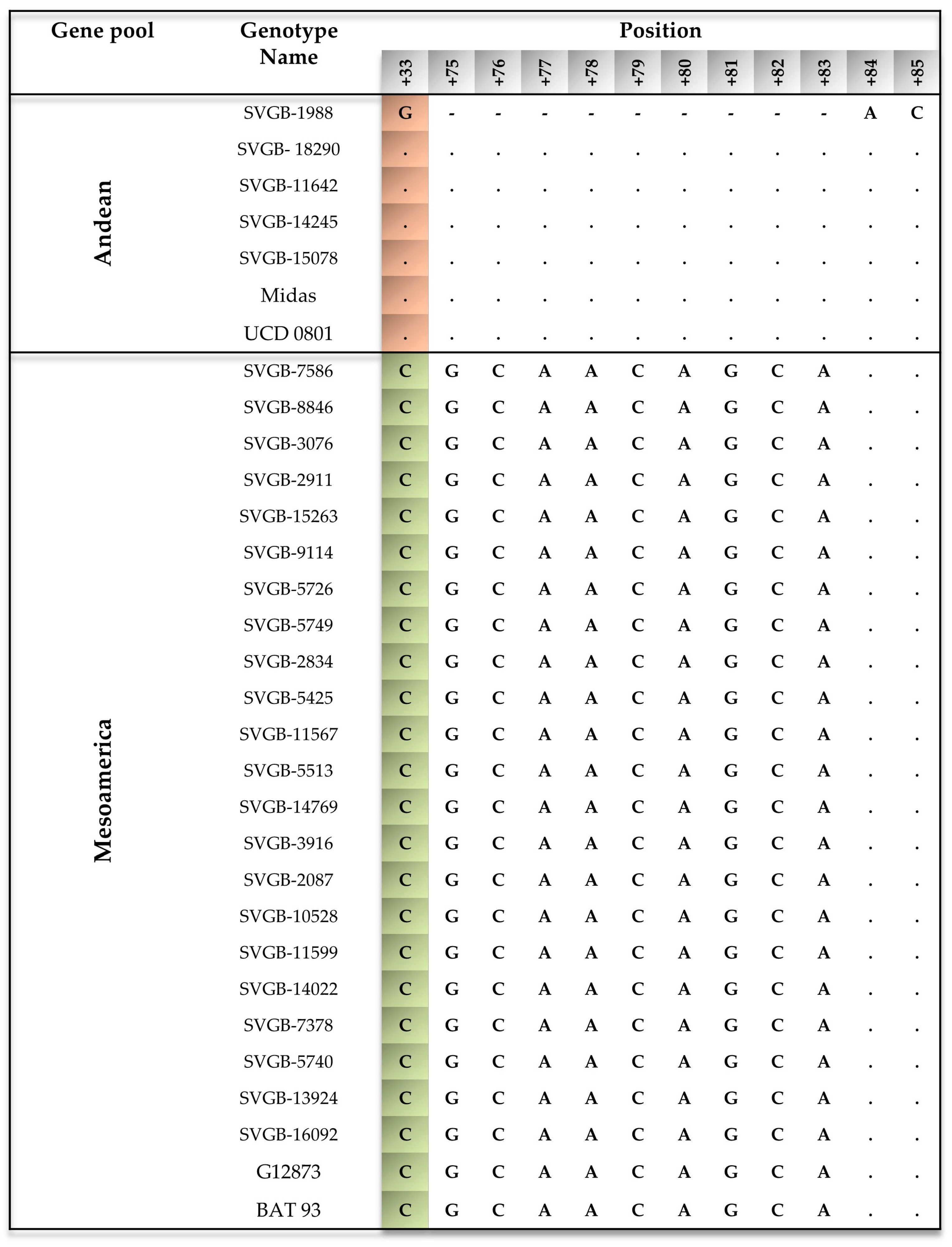 Agronomy 13 02820 g003