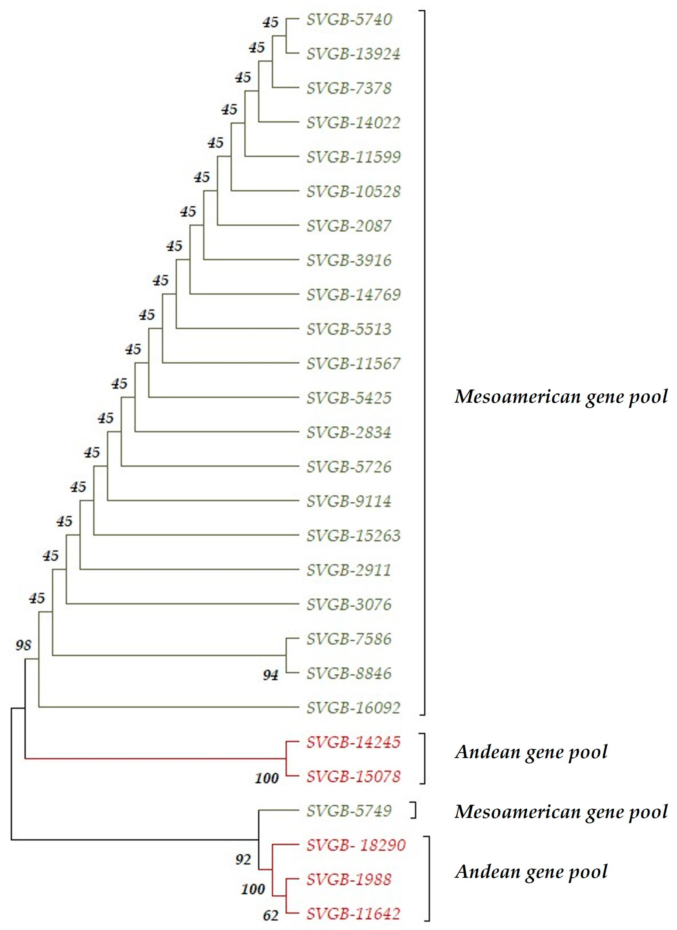 Agronomy 13 02820 g012