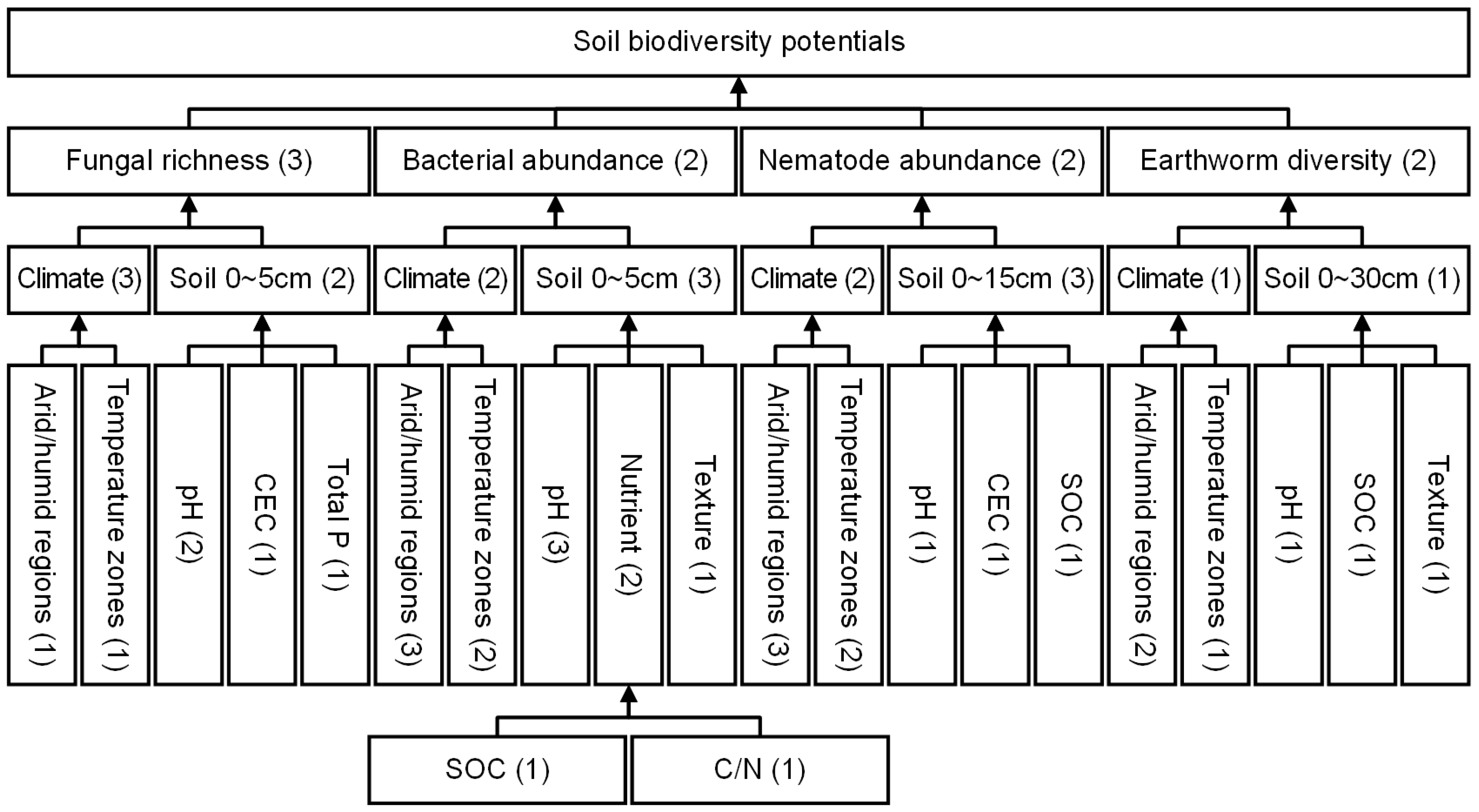Agronomy 13 02822 g003