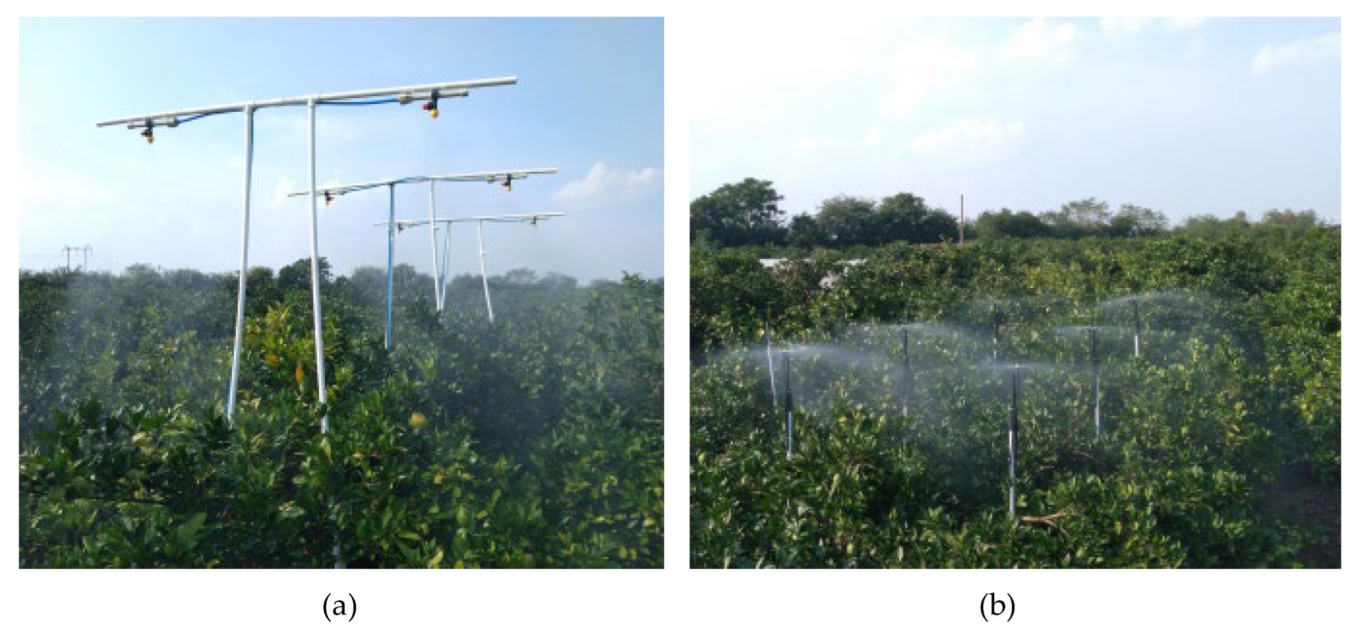 Agronomy 13 02828 g003