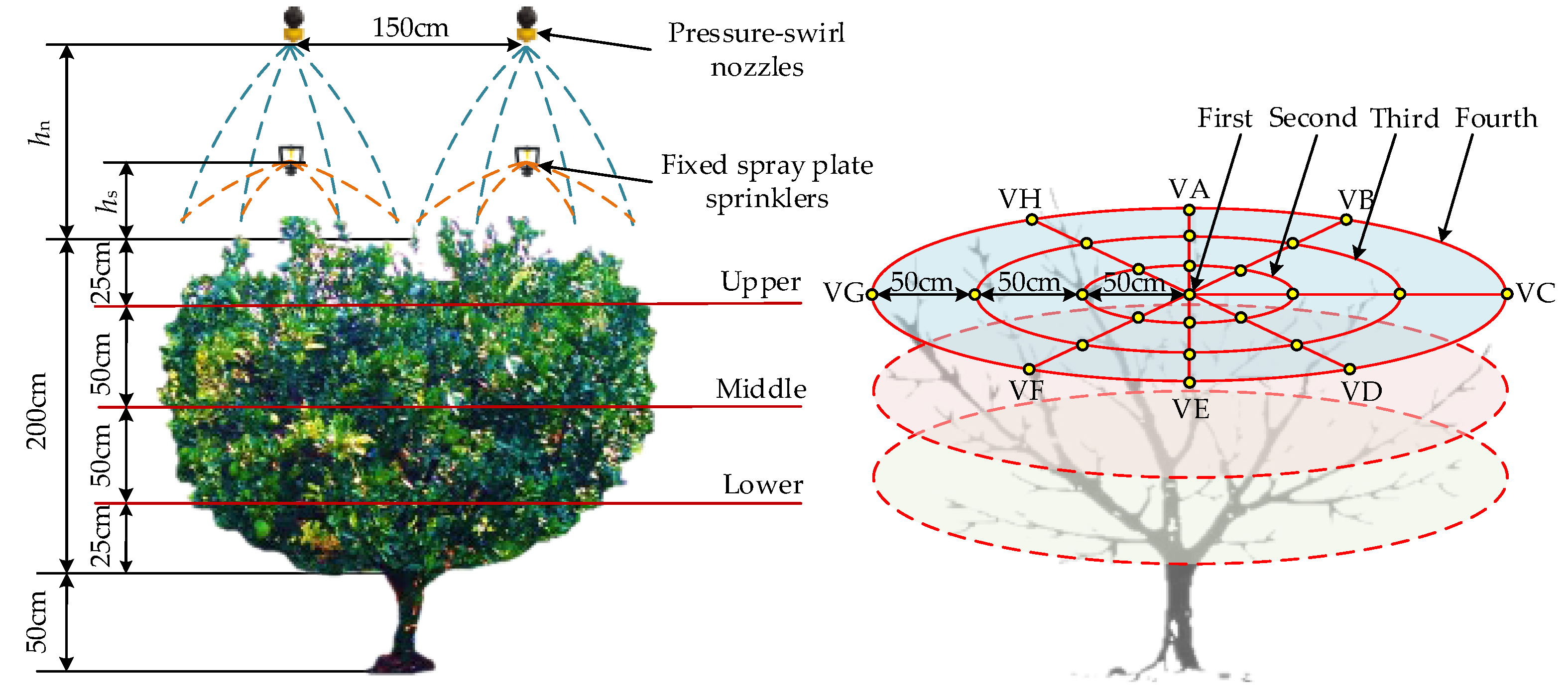 Agronomy 13 02828 g004