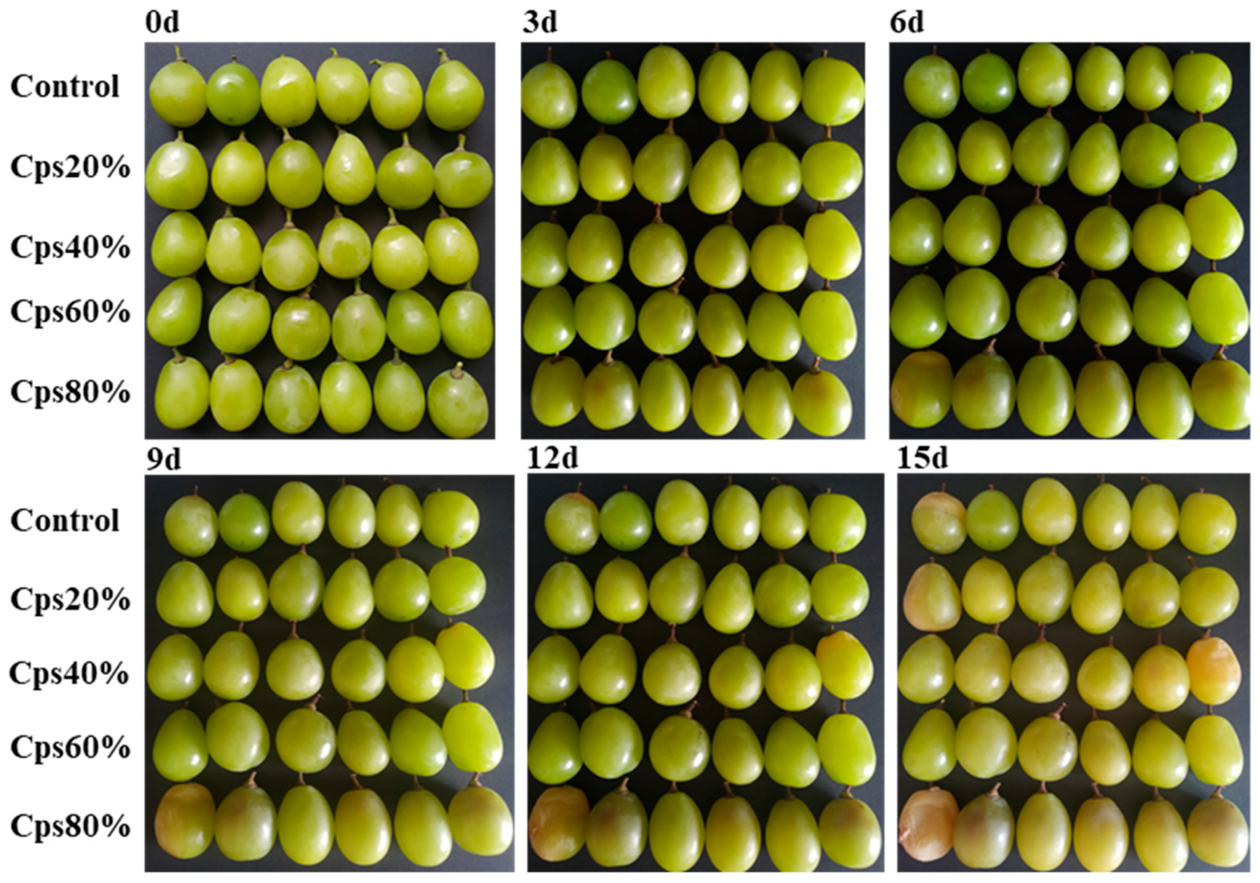 Agronomy 13 02836 g003