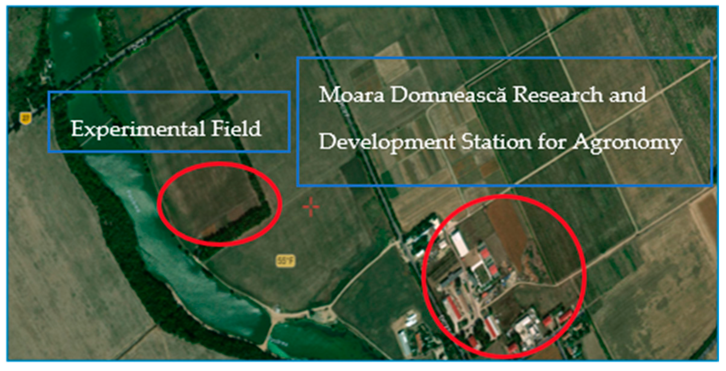 Agronomy 13 02837 g001