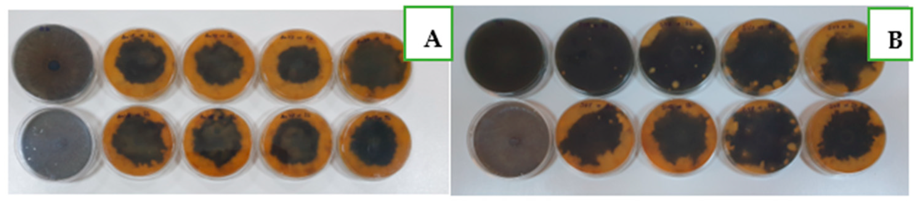 Agronomy 13 02837 g005