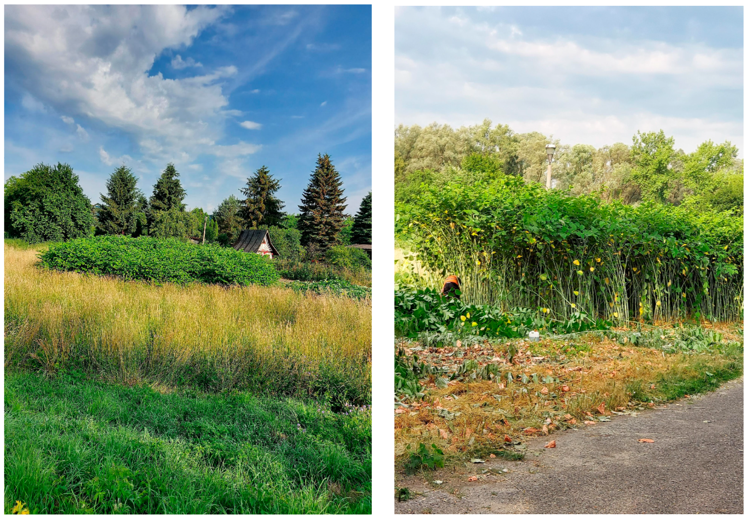 Agronomy 13 02838 g001