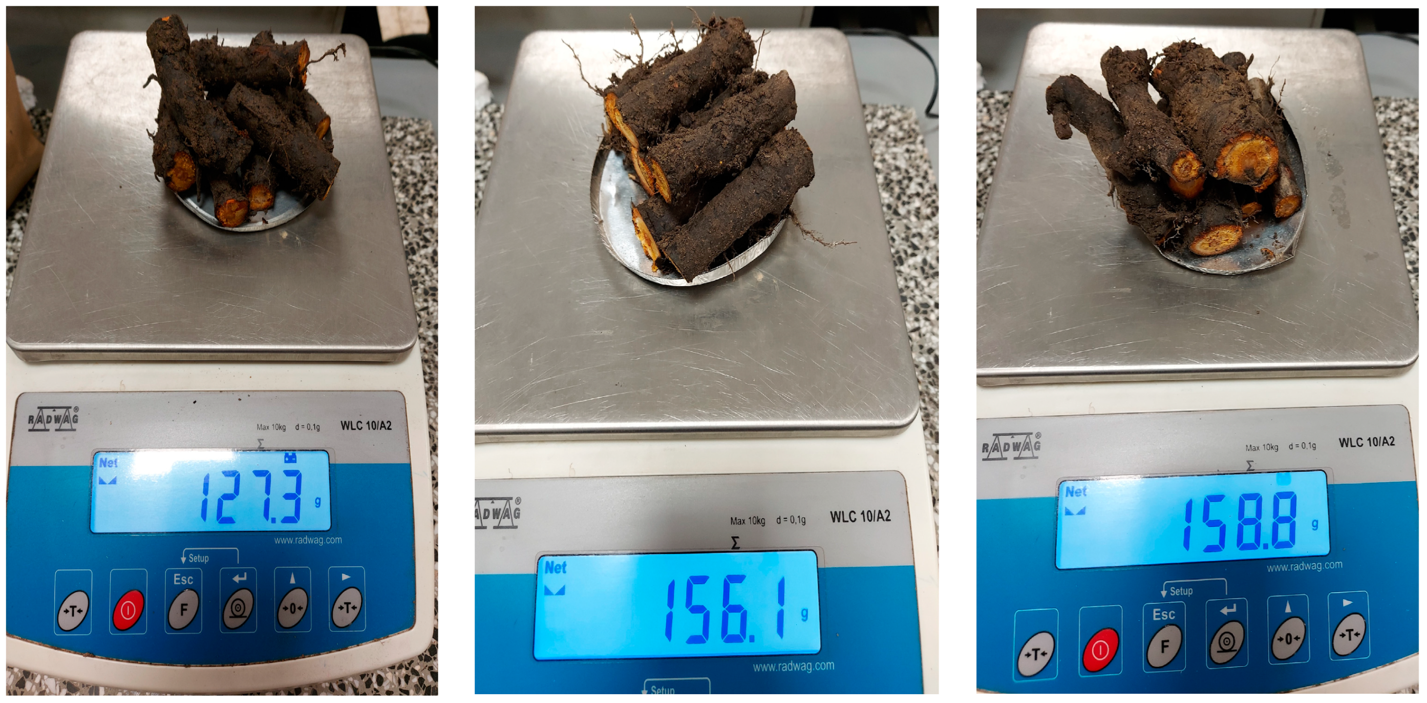 Agronomy 13 02838 g002