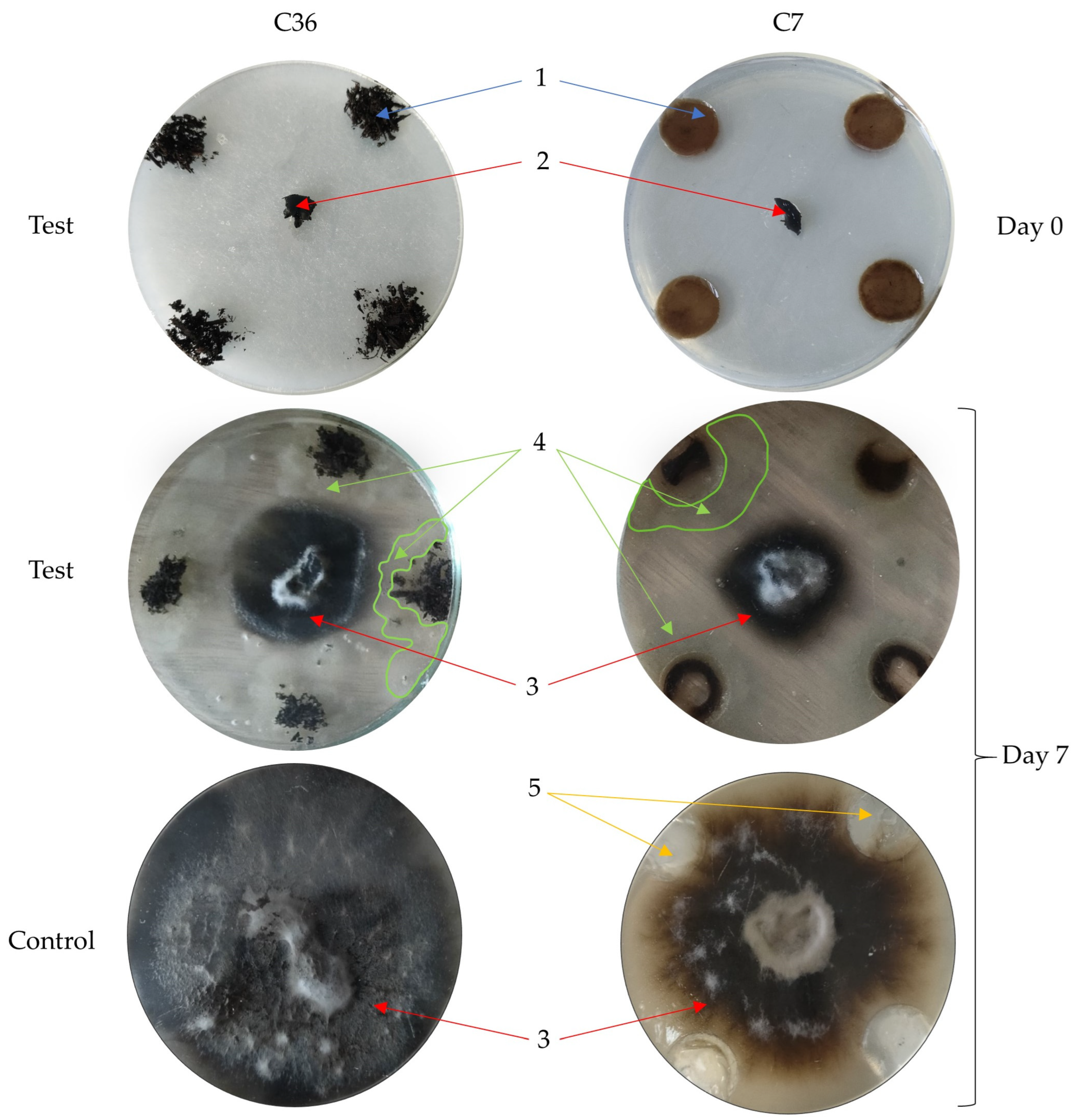 Agronomy 13 02841 g001