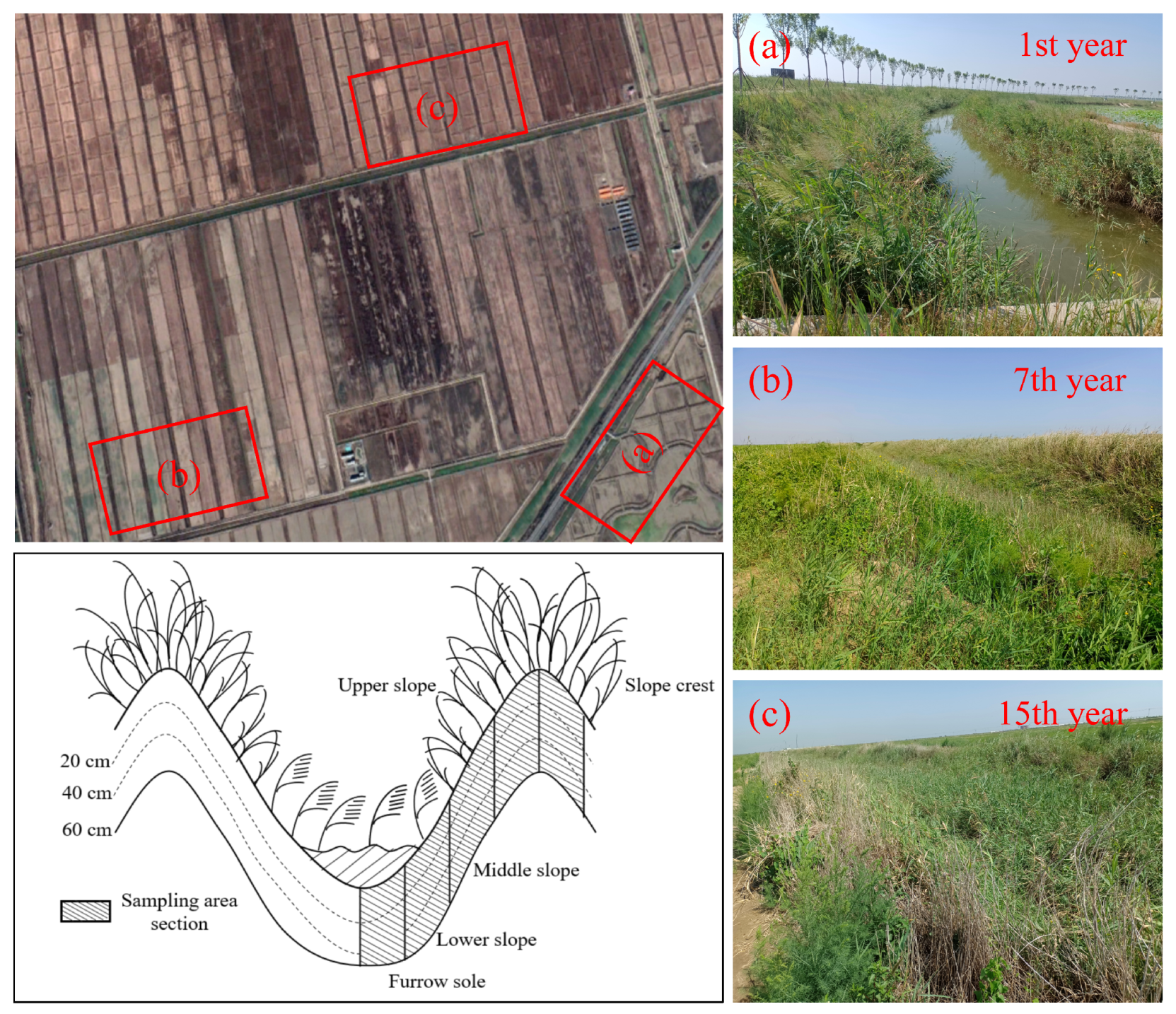 Agronomy 13 02843 g001