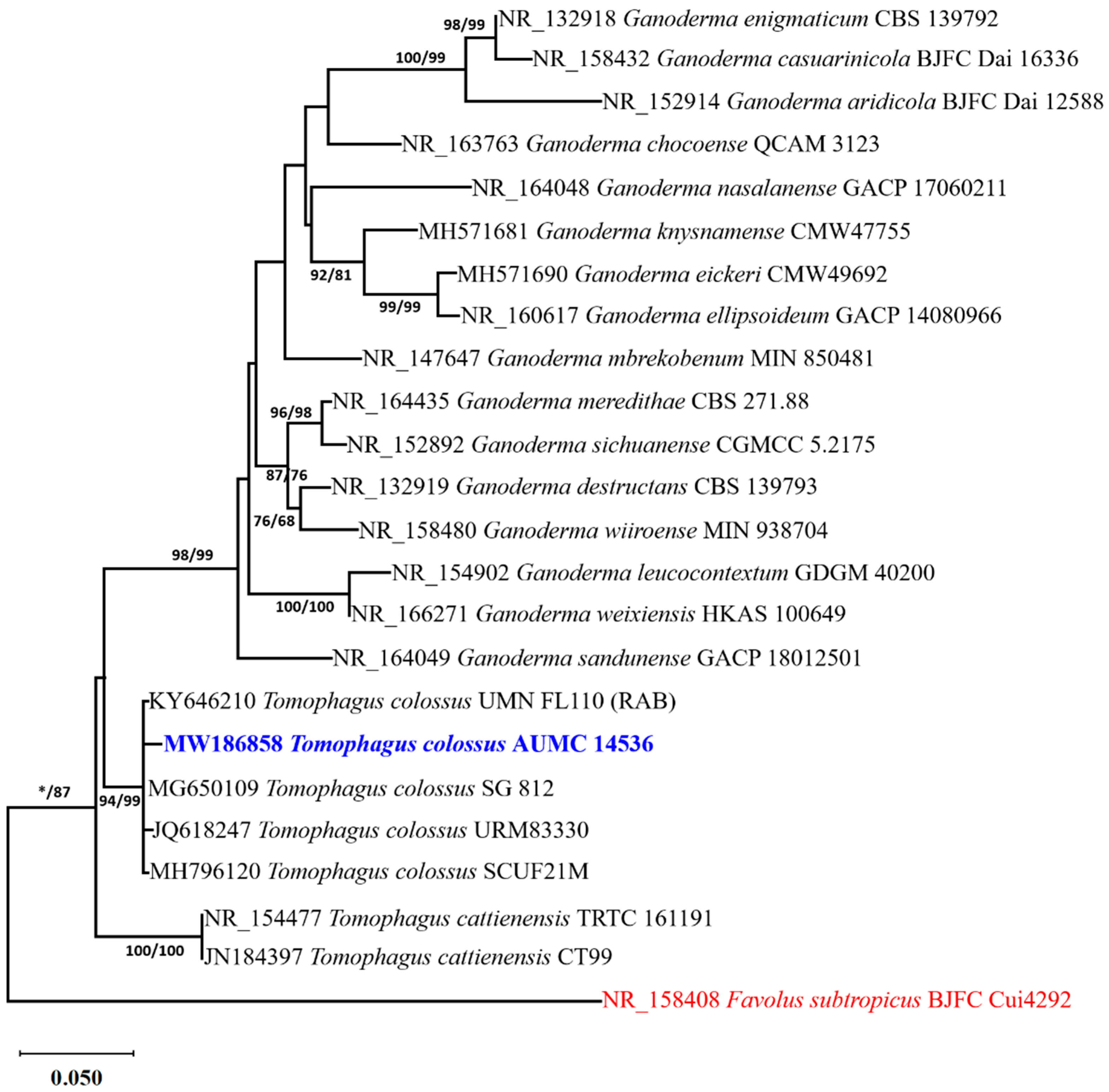 Agronomy 13 02850 g001