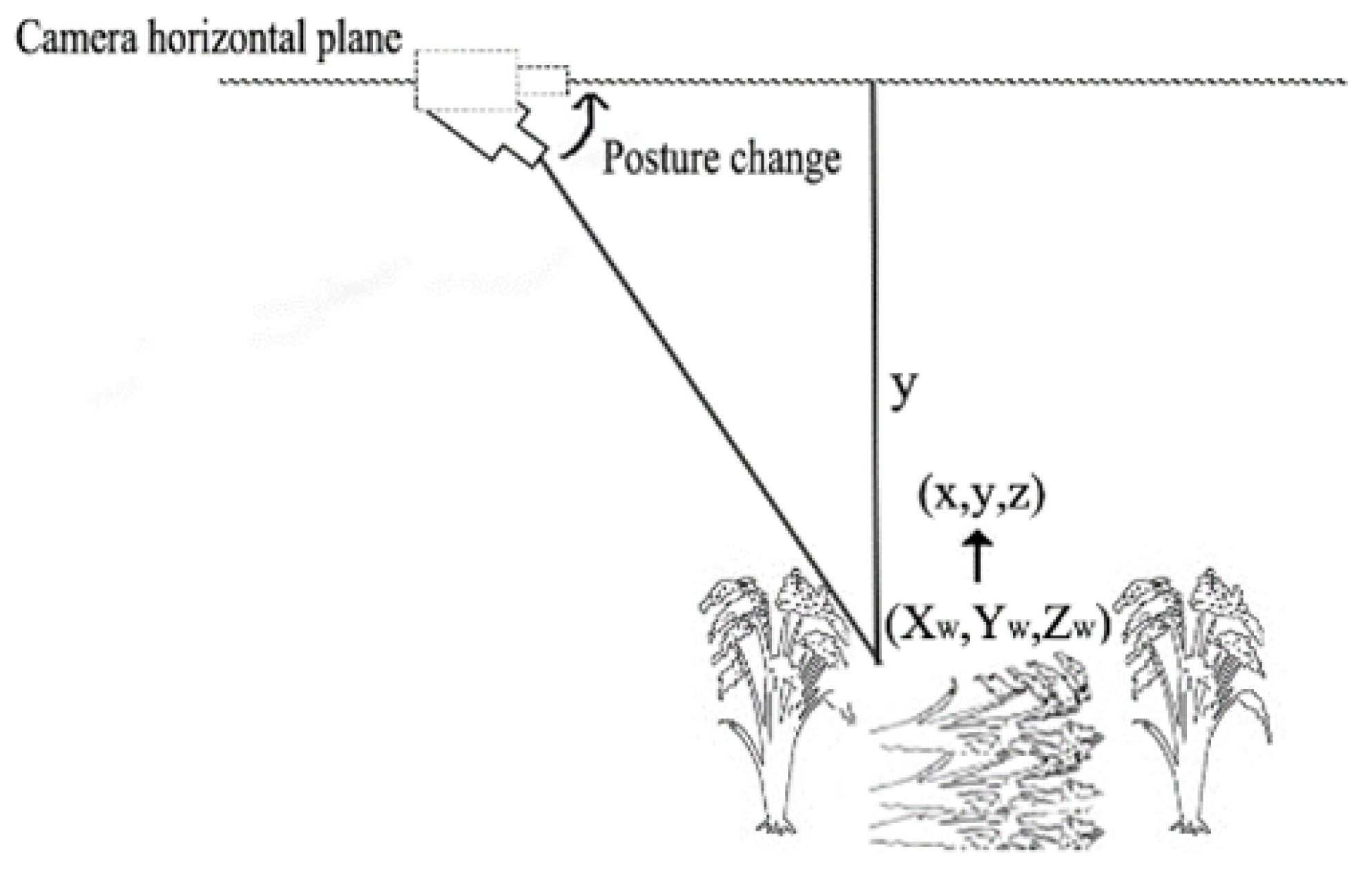Agronomy 13 02852 g002