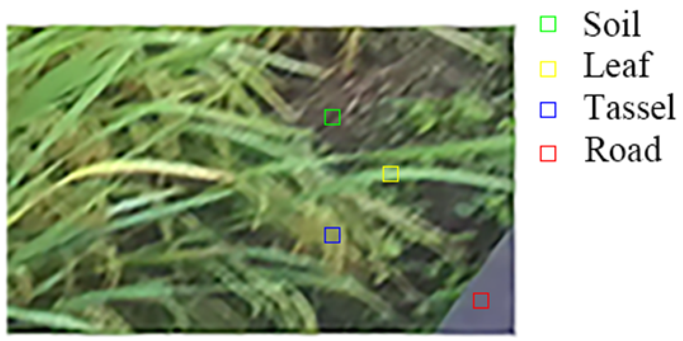 Agronomy 13 02852 g004