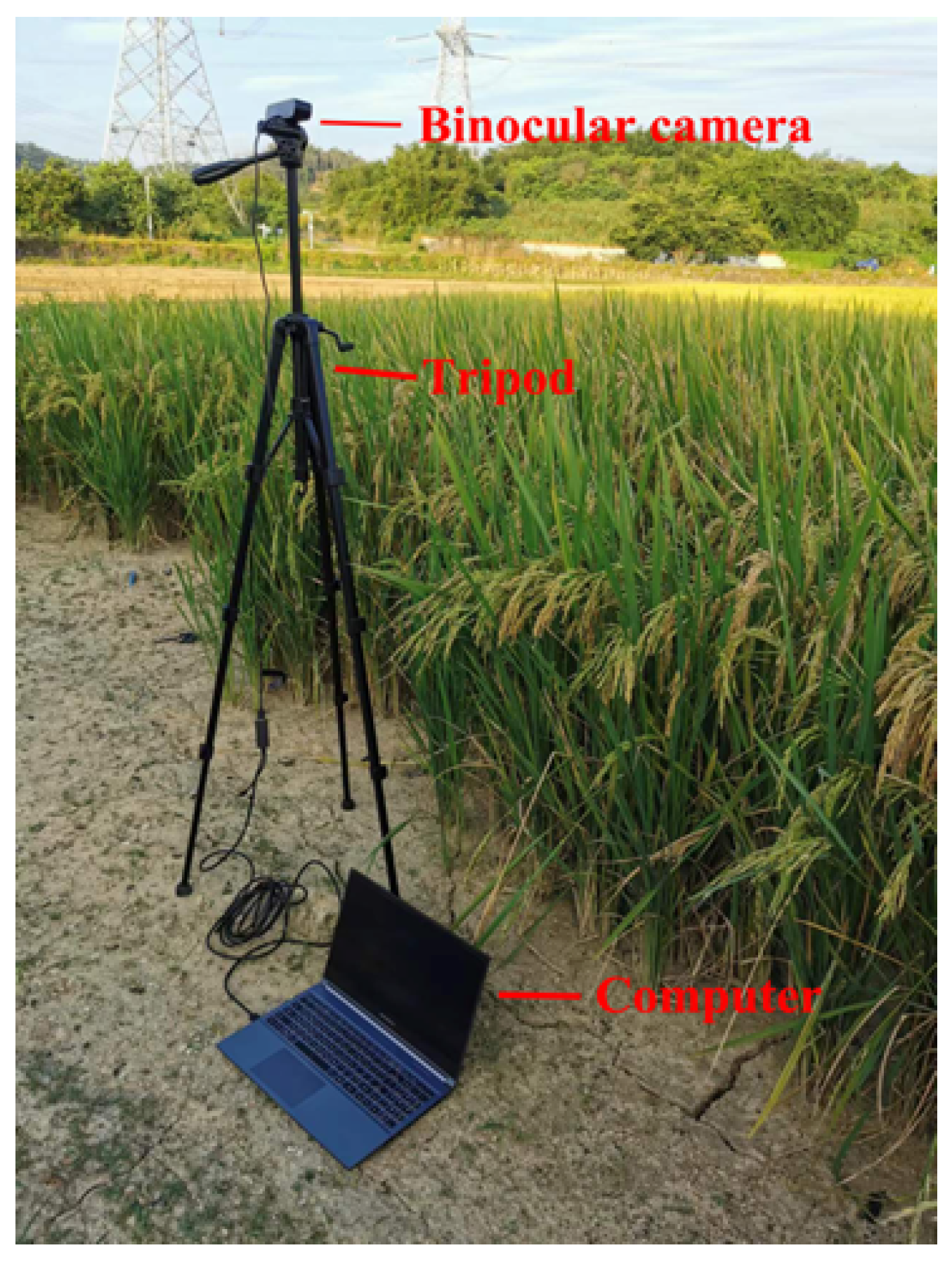 Agronomy 13 02852 g009