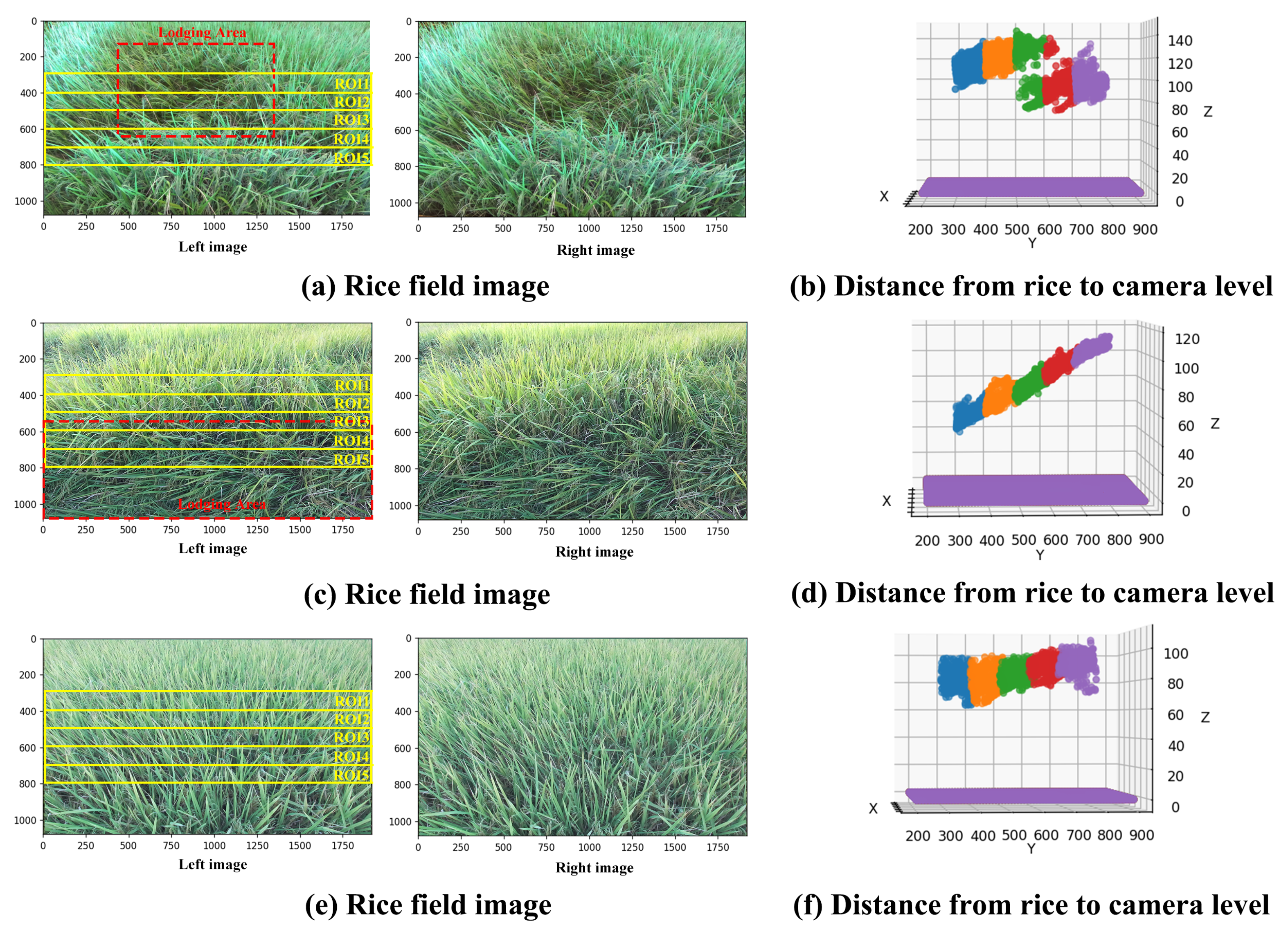 Agronomy 13 02852 g010
