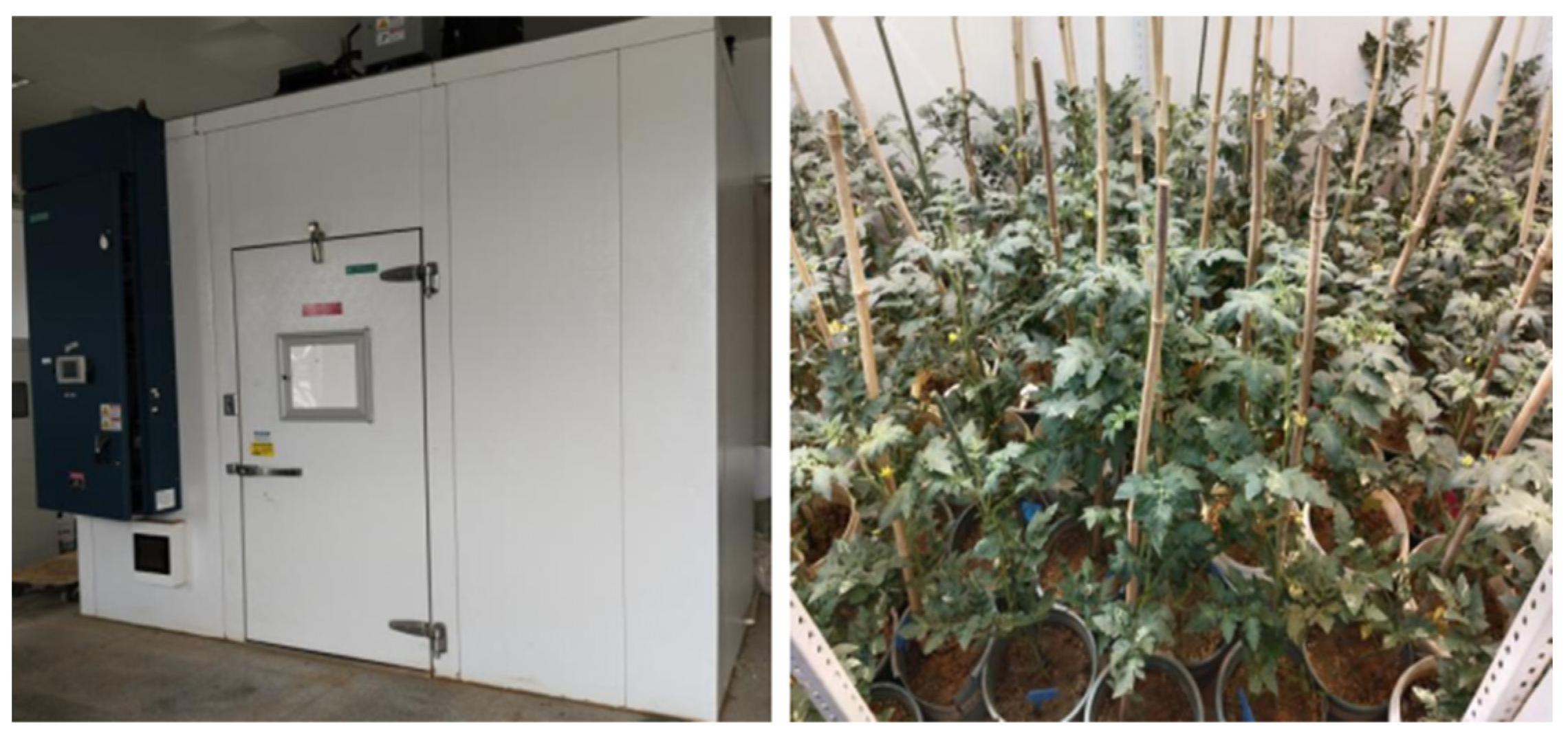 Agronomy 13 02858 g001