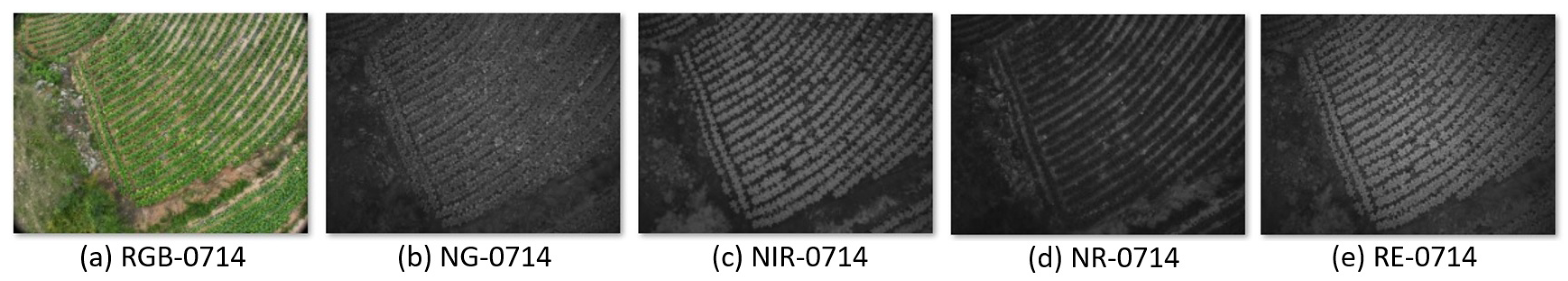Agronomy 13 02861 g005