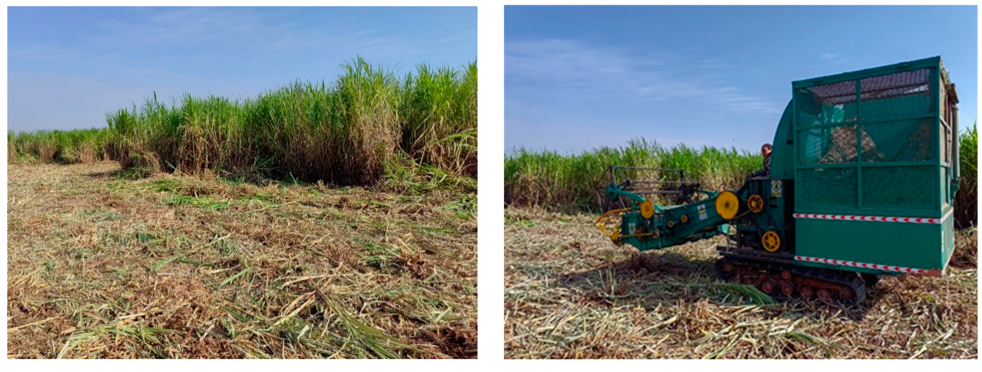 Agronomy 13 02874 g006