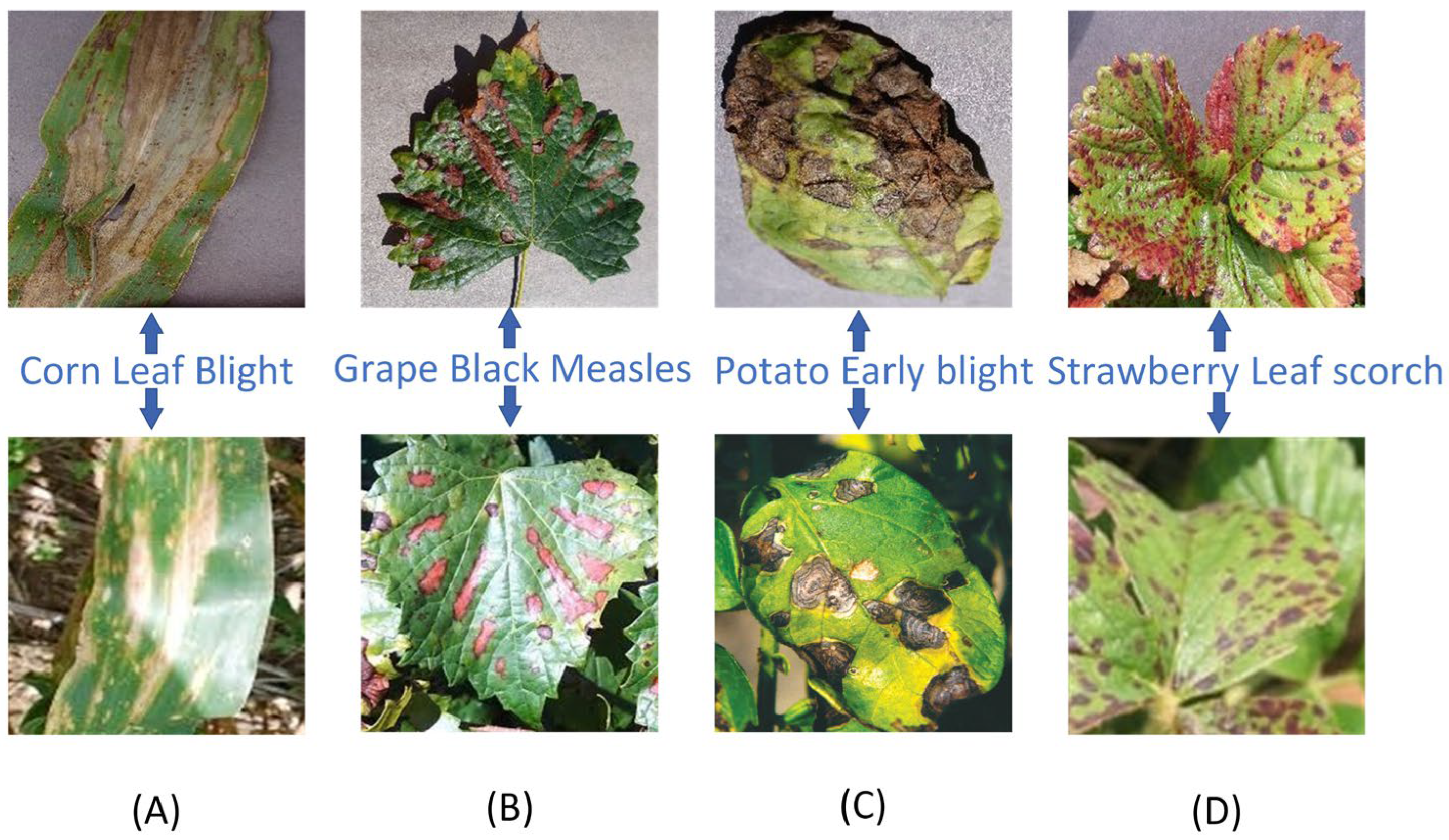 Agronomy 13 02876 g001