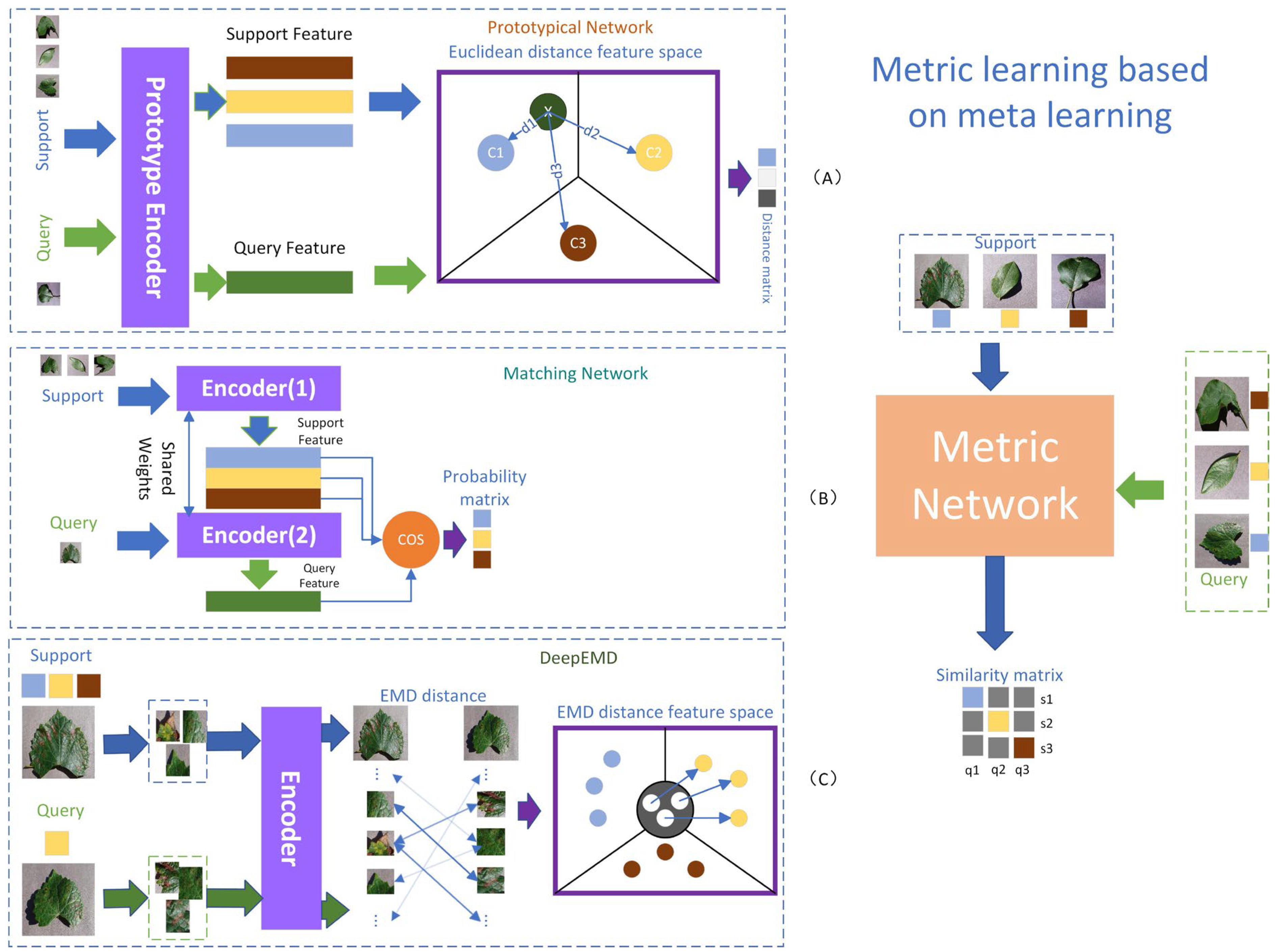 Agronomy 13 02876 g002