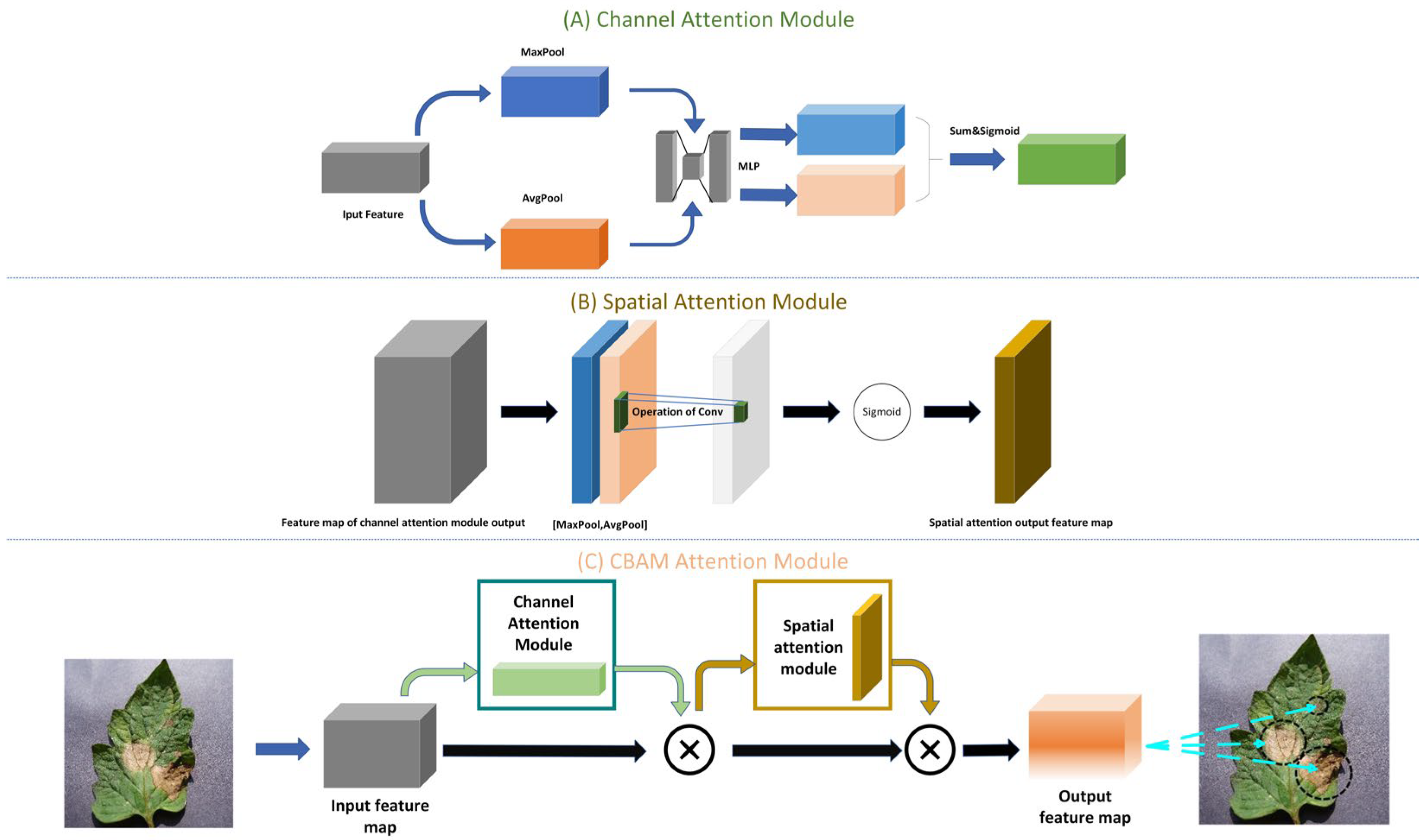Agronomy 13 02876 g003