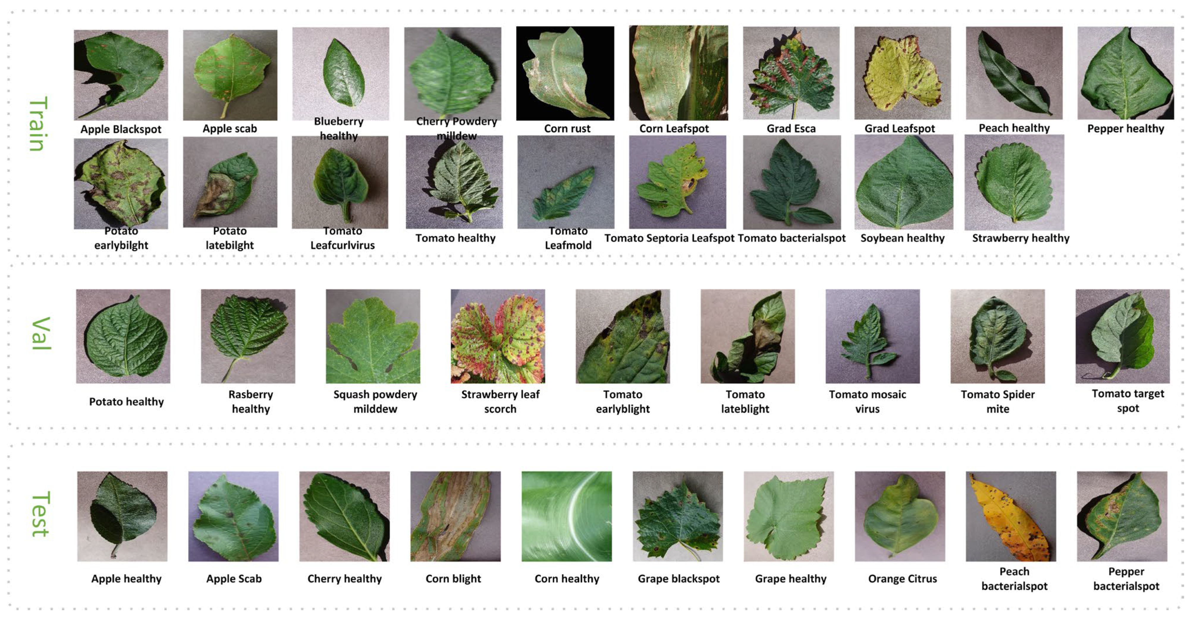 Agronomy 13 02876 g006