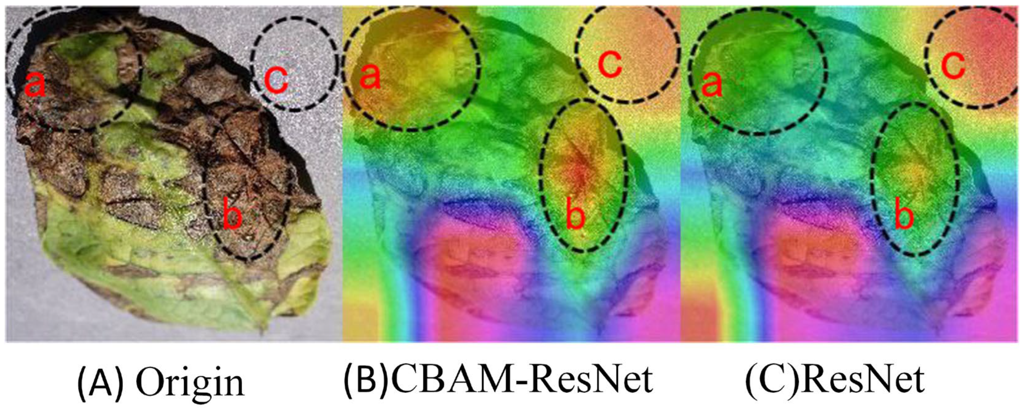 Agronomy 13 02876 g008