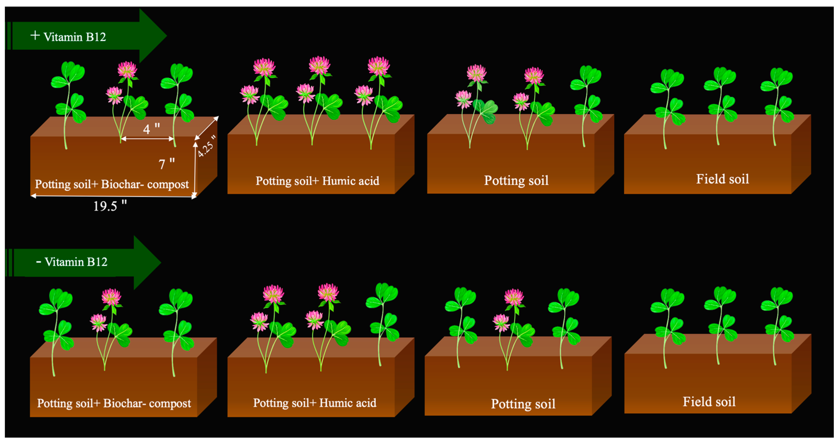 Agronomy 13 02885 g001