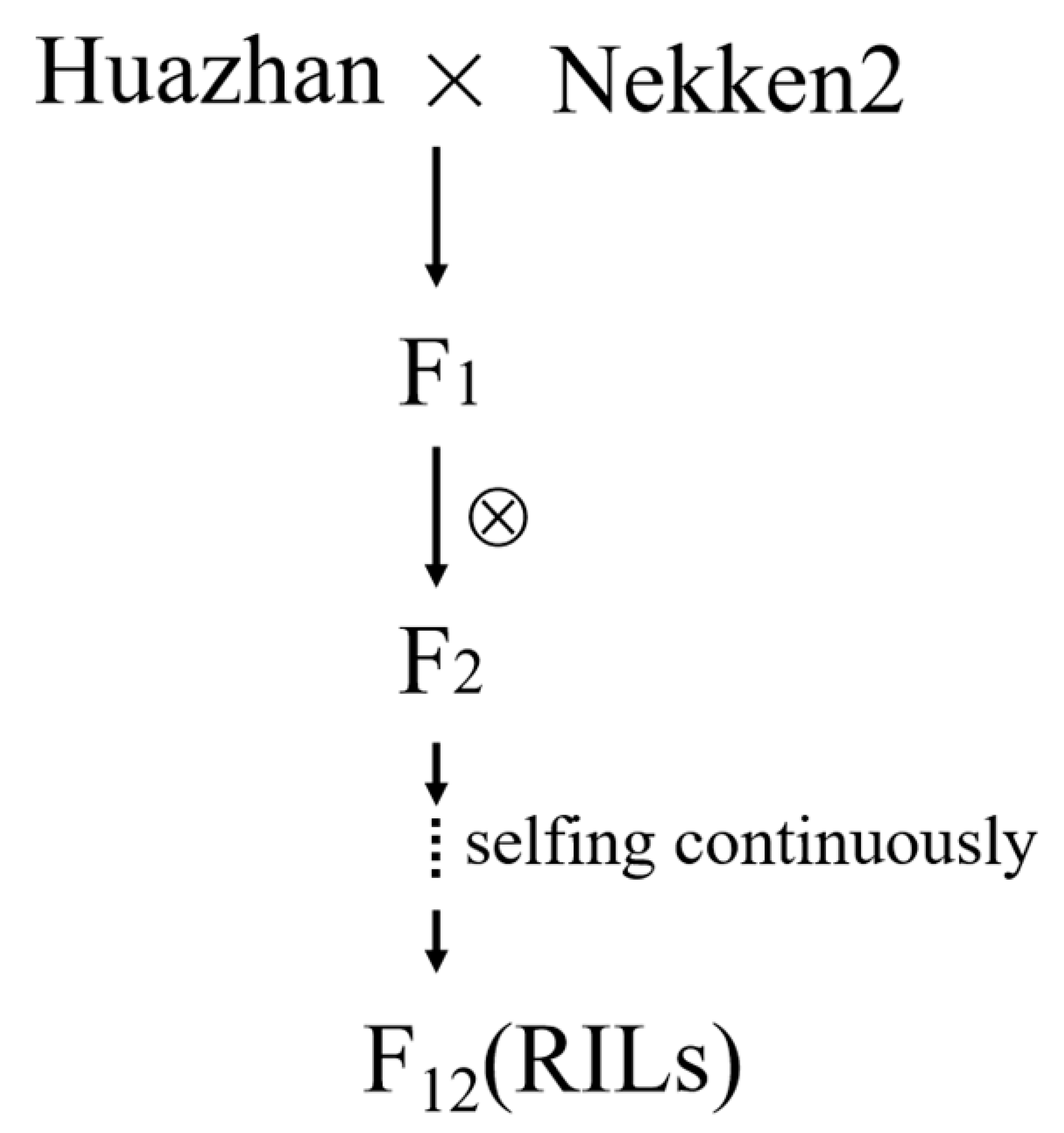 Agronomy 13 02891 g001