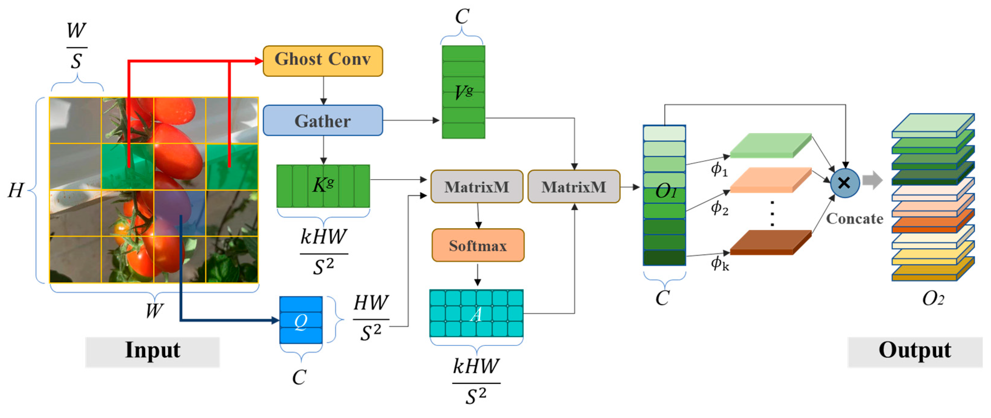 Agronomy 13 02893 g005