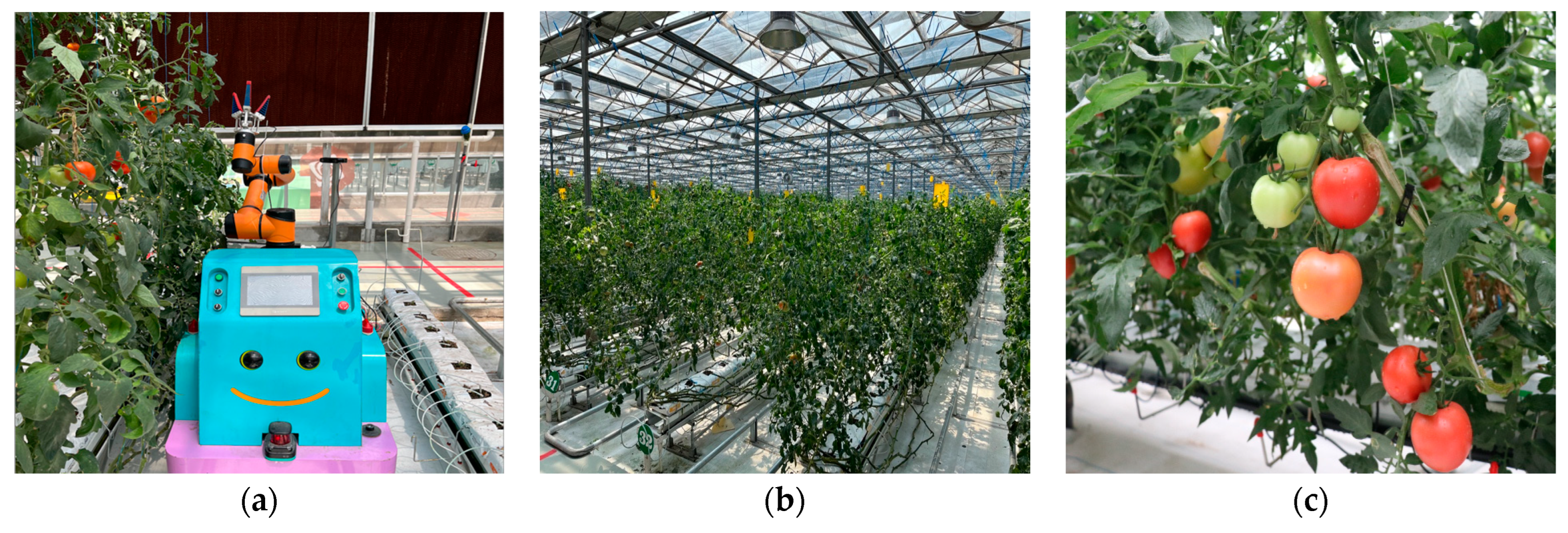 Agronomy 13 02893 g007