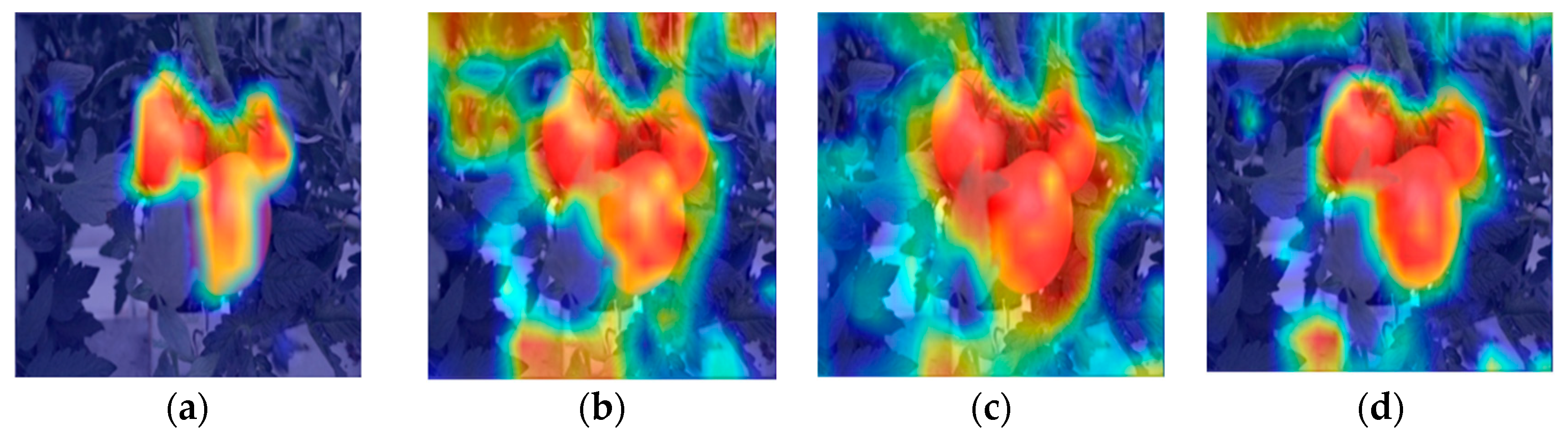 Agronomy 13 02893 g011