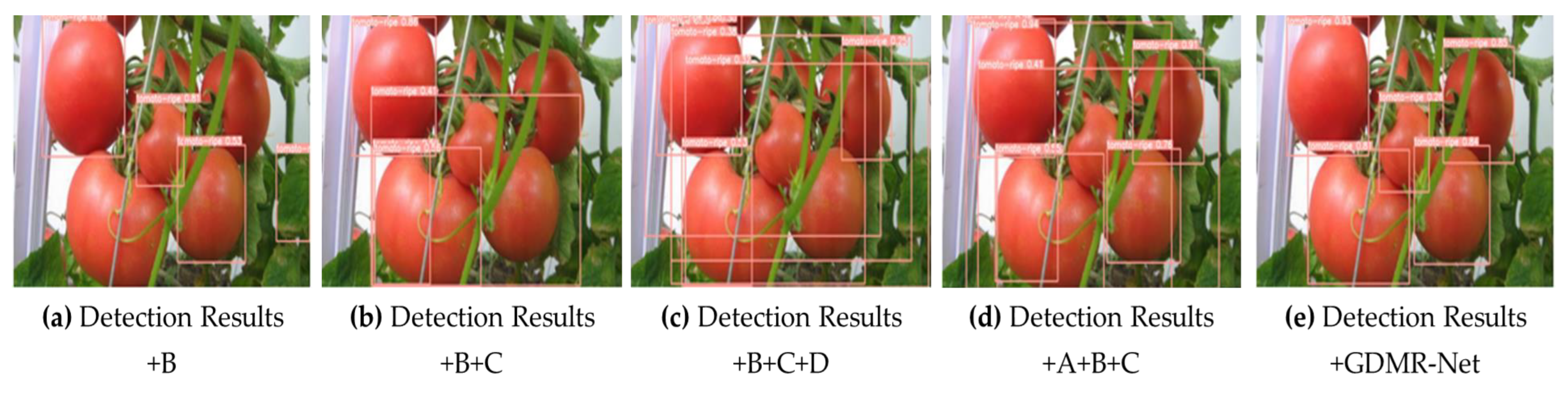 Agronomy 13 02893 g012