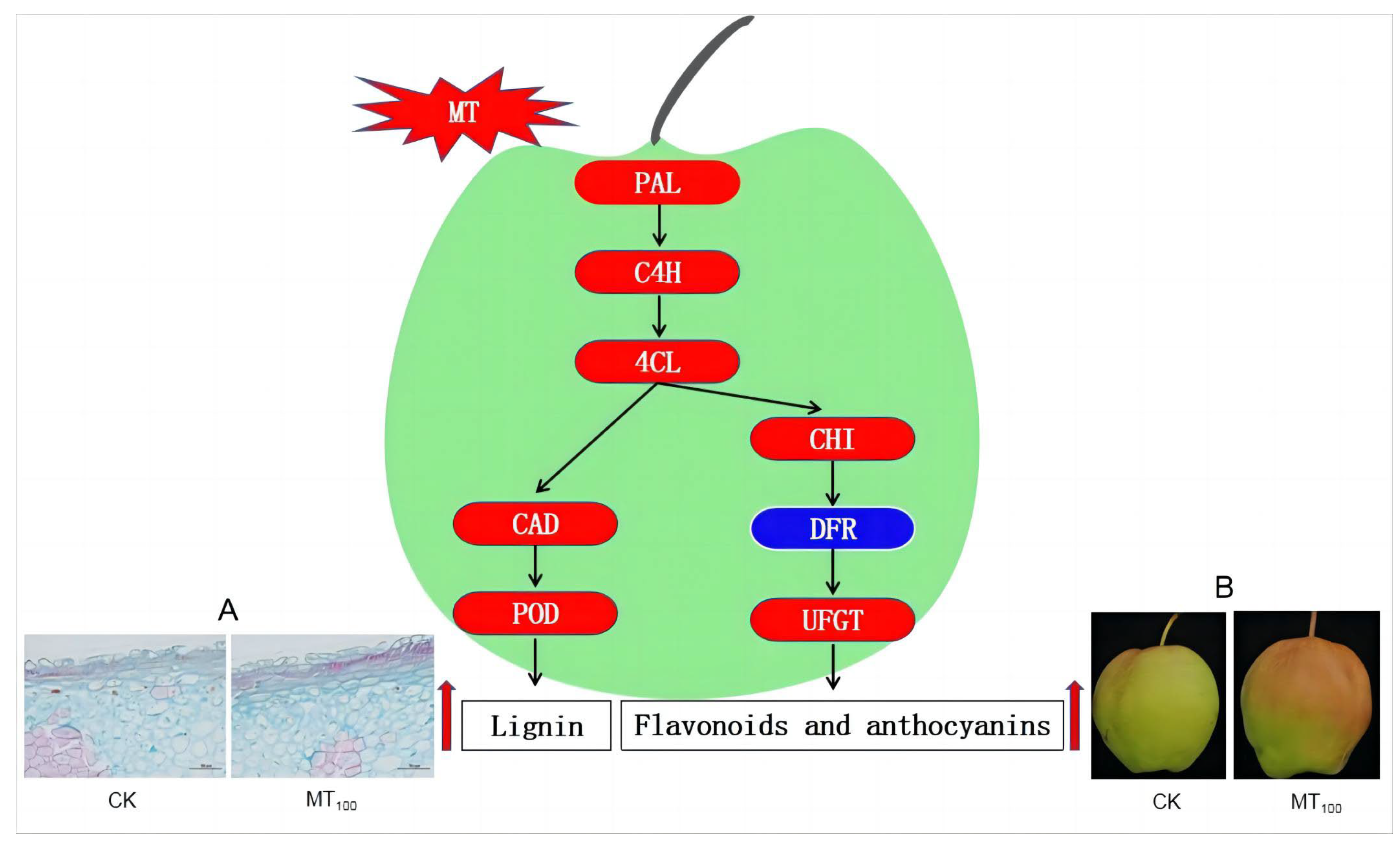 Agronomy 13 02898 g006