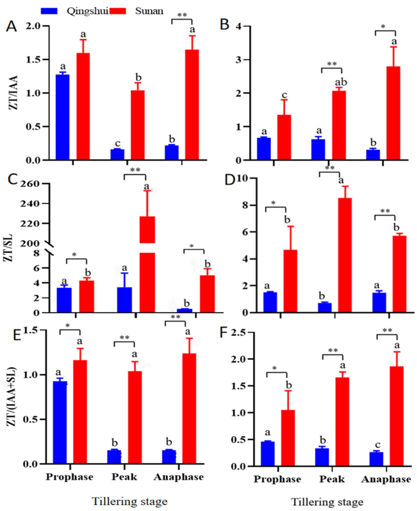 Agronomy 13 02899 g004