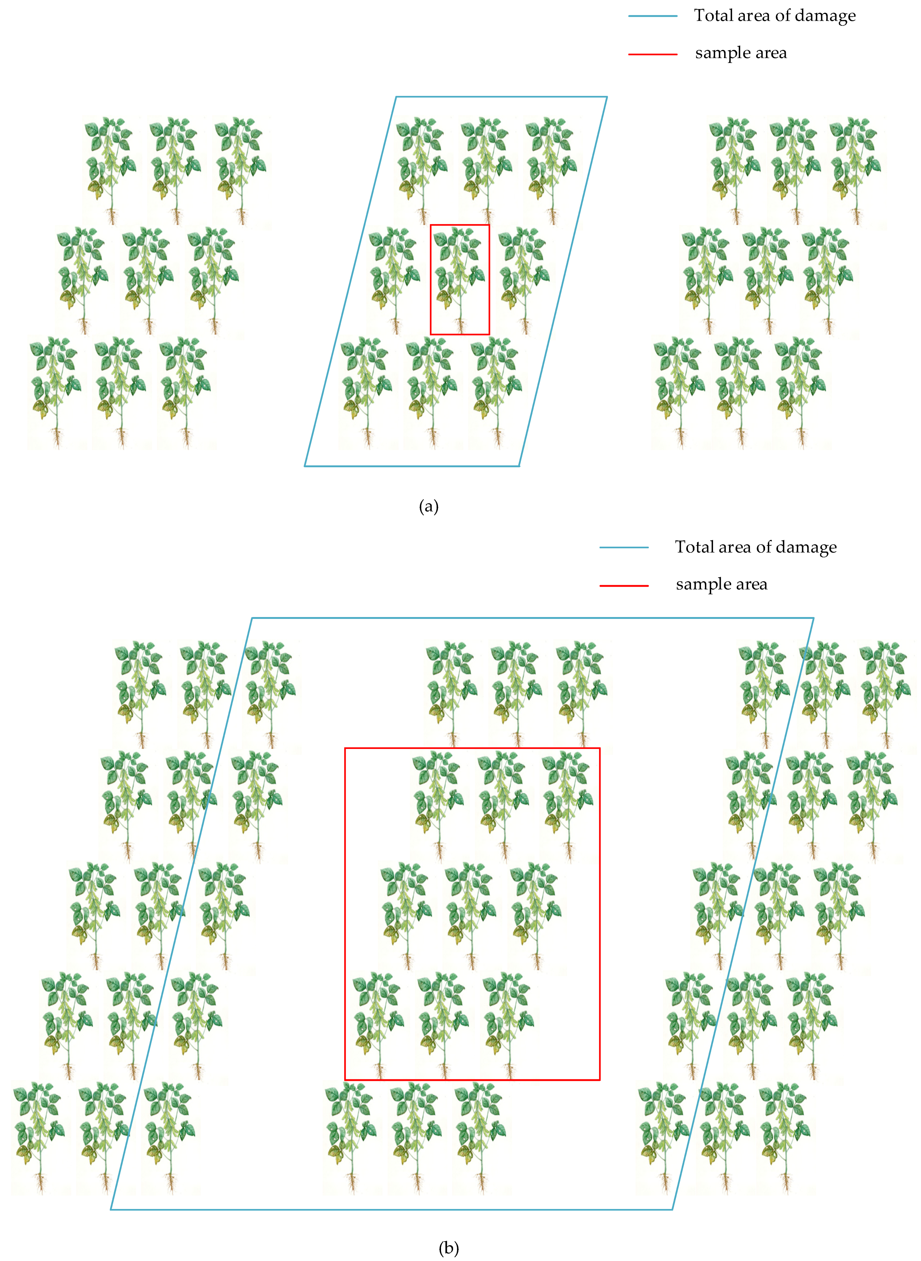Agronomy 13 02902 g002