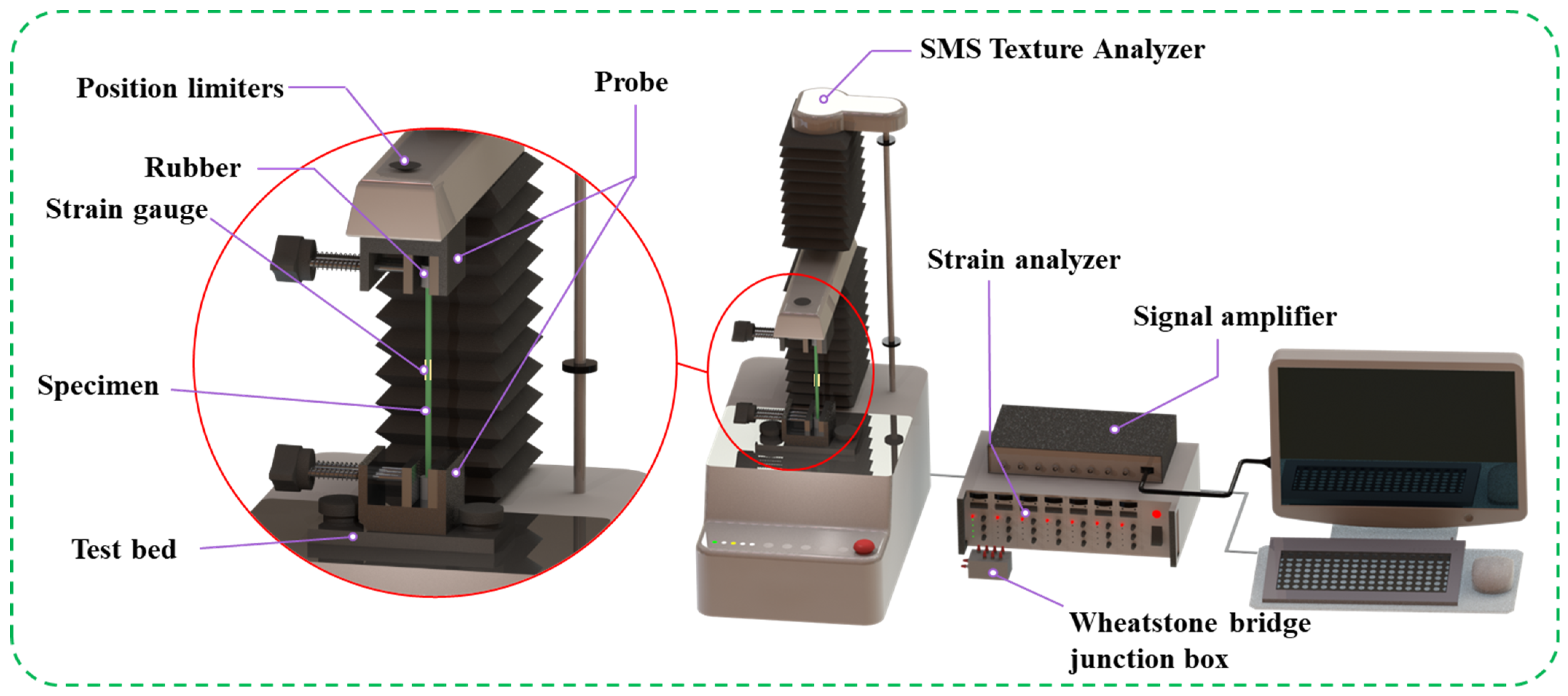 Agronomy 13 02908 g004