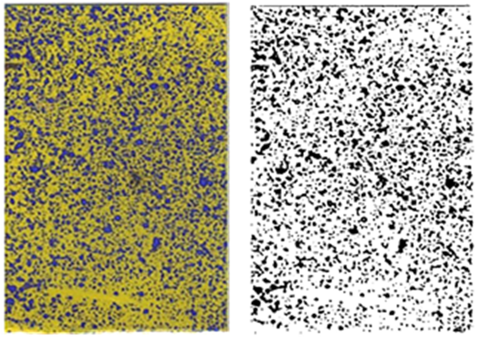 Agronomy 13 02908 g010