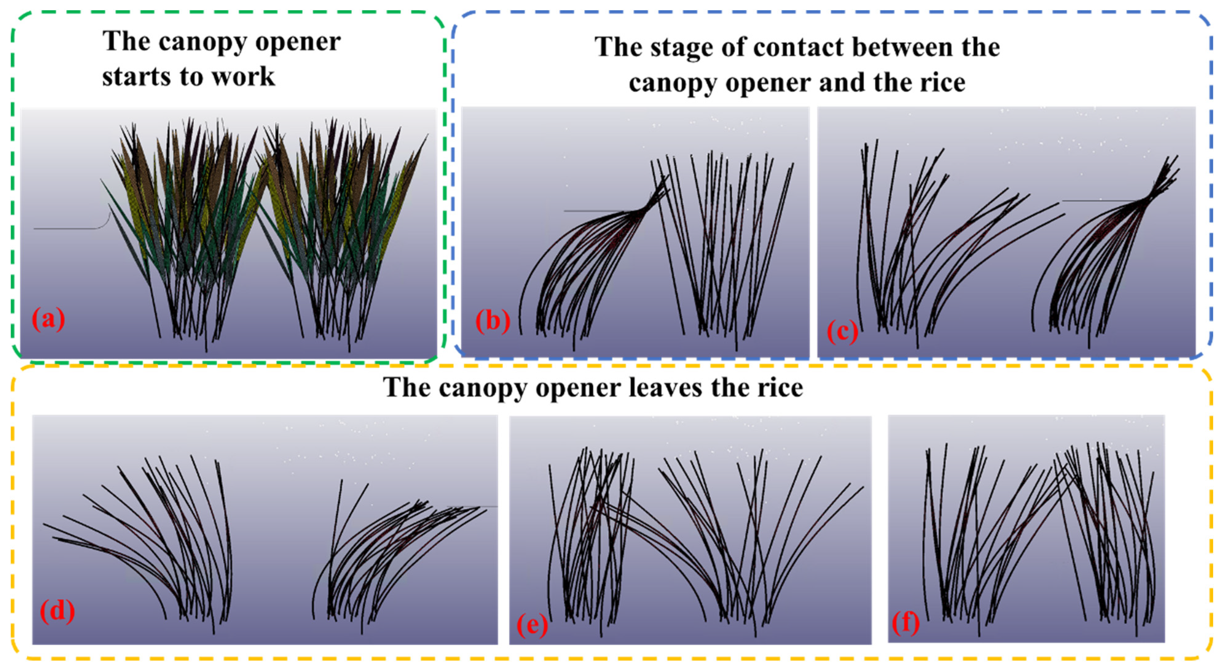 Agronomy 13 02908 g011