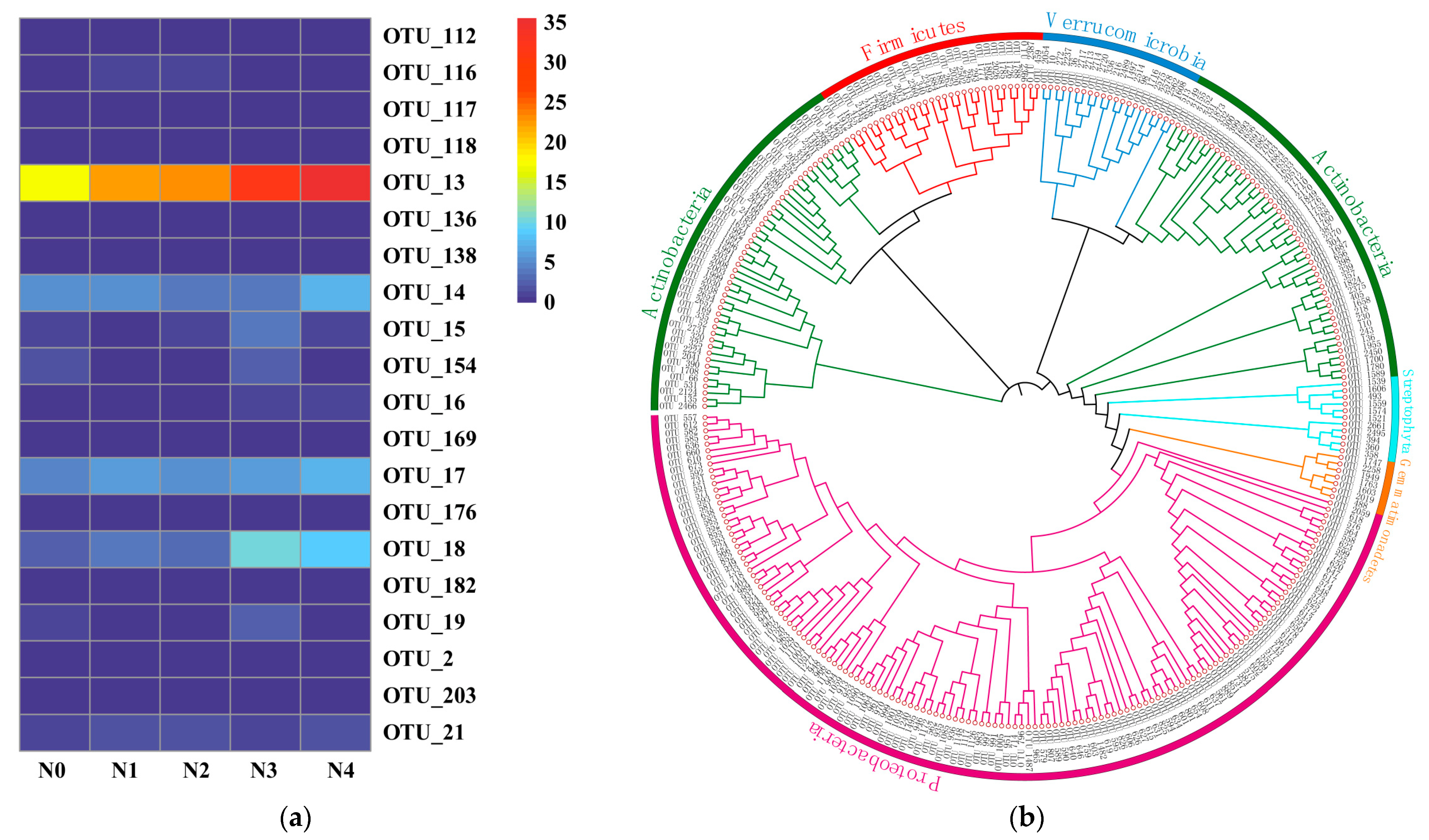 Agronomy 13 02909 g004