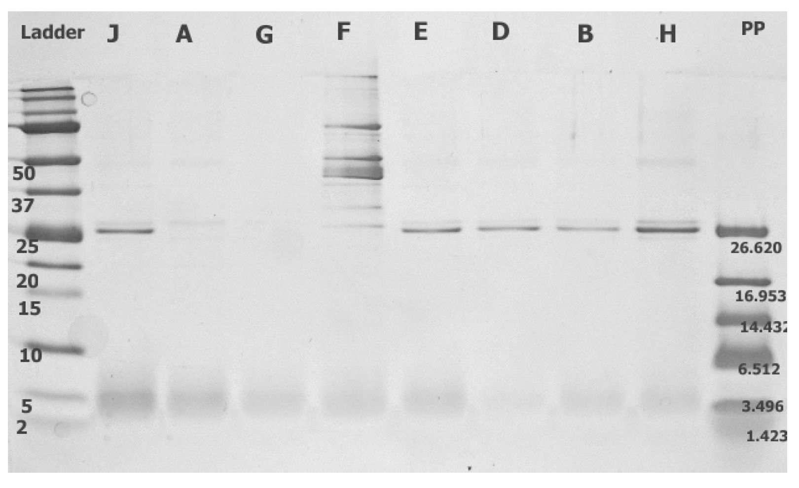 Agronomy 13 02911 g001