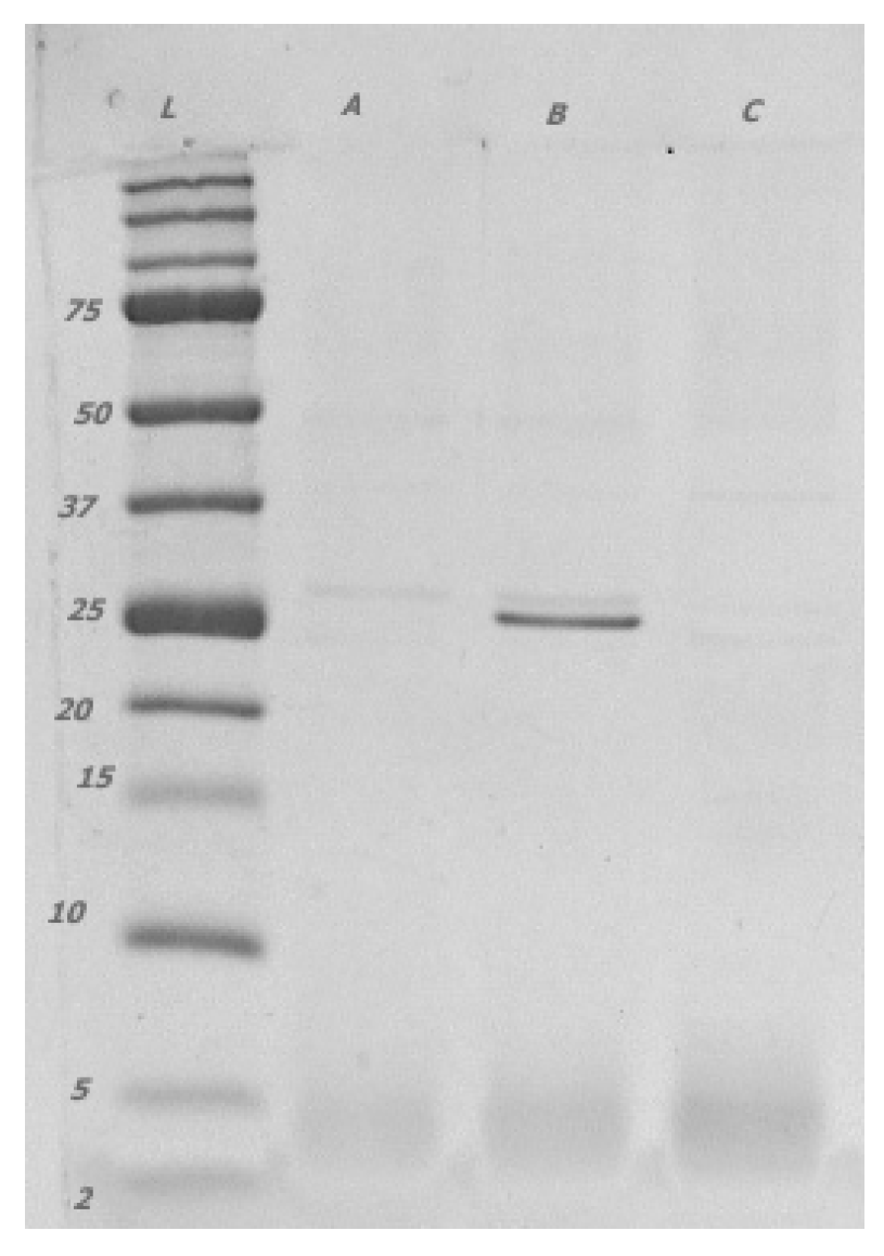 Agronomy 13 02911 g002