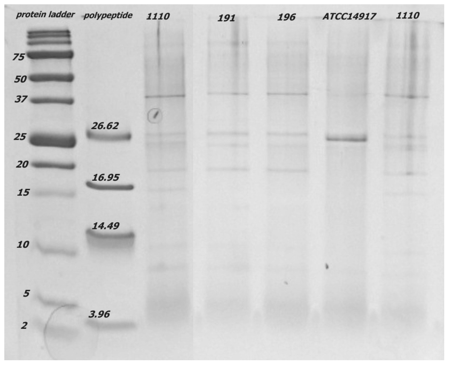 Agronomy 13 02911 g003