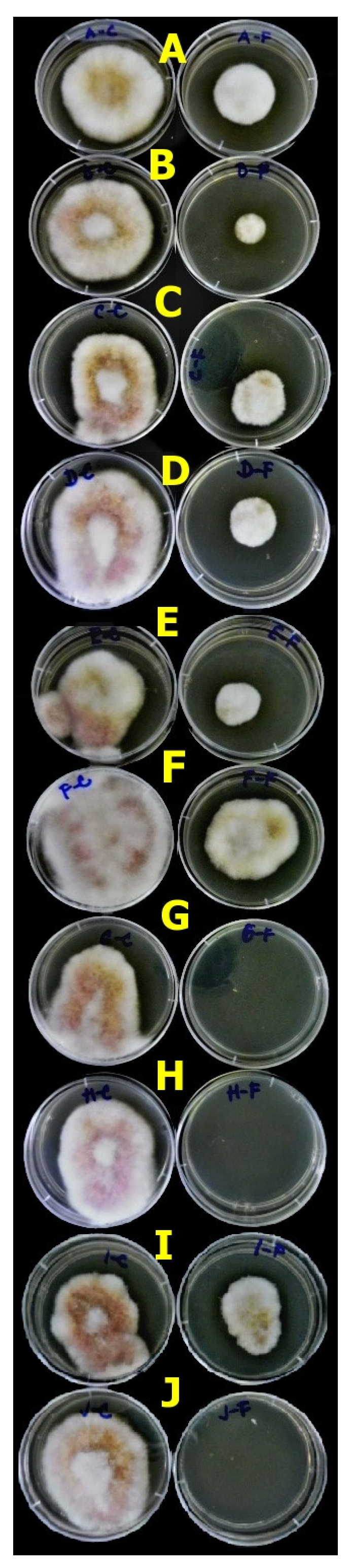 Agronomy 13 02911 g006