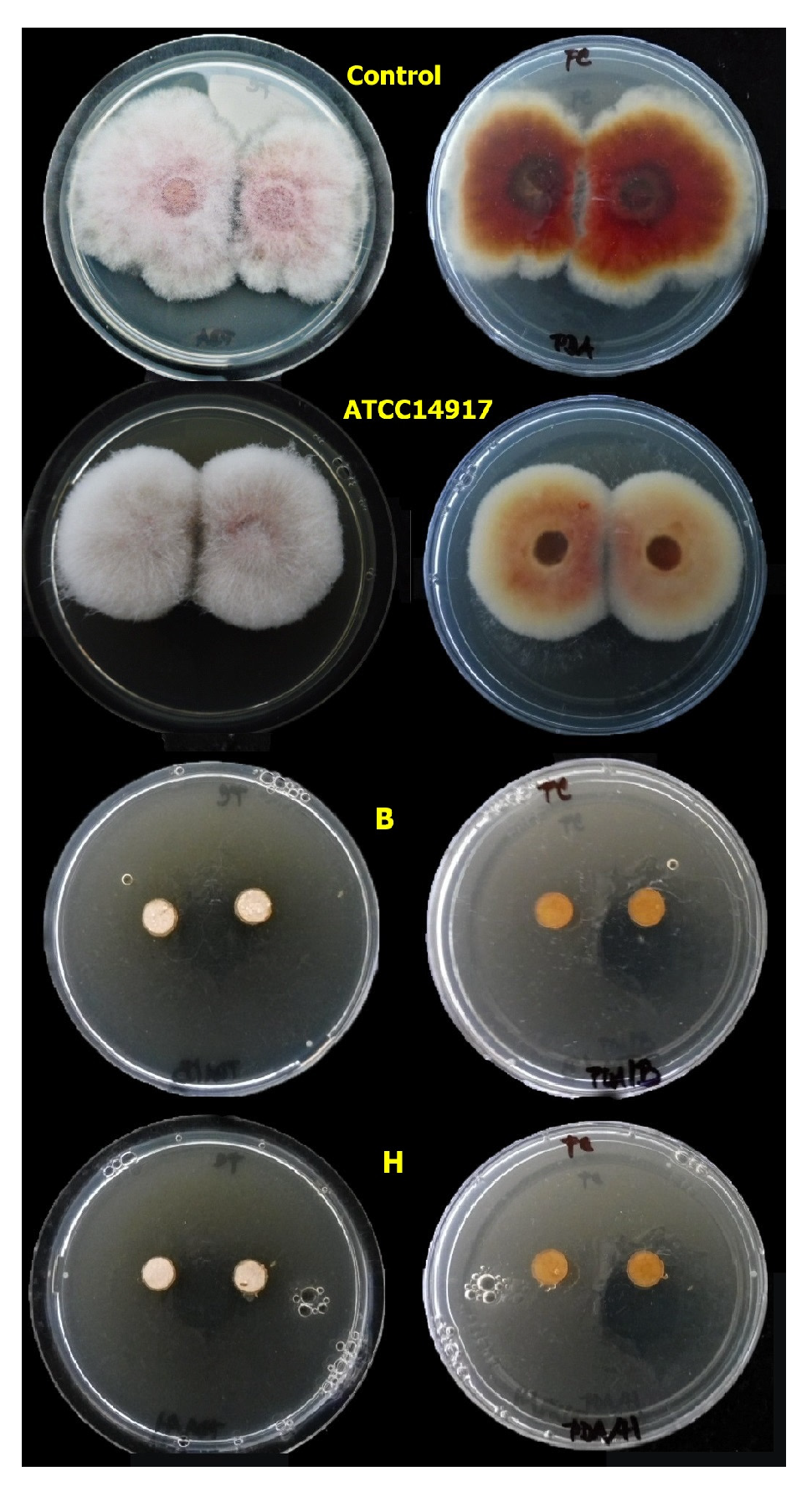 Agronomy 13 02911 g007