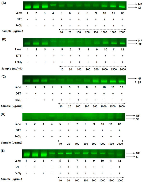 いラインアップ Comparative Assessment of Nutritional Metabolites in Yellow その他