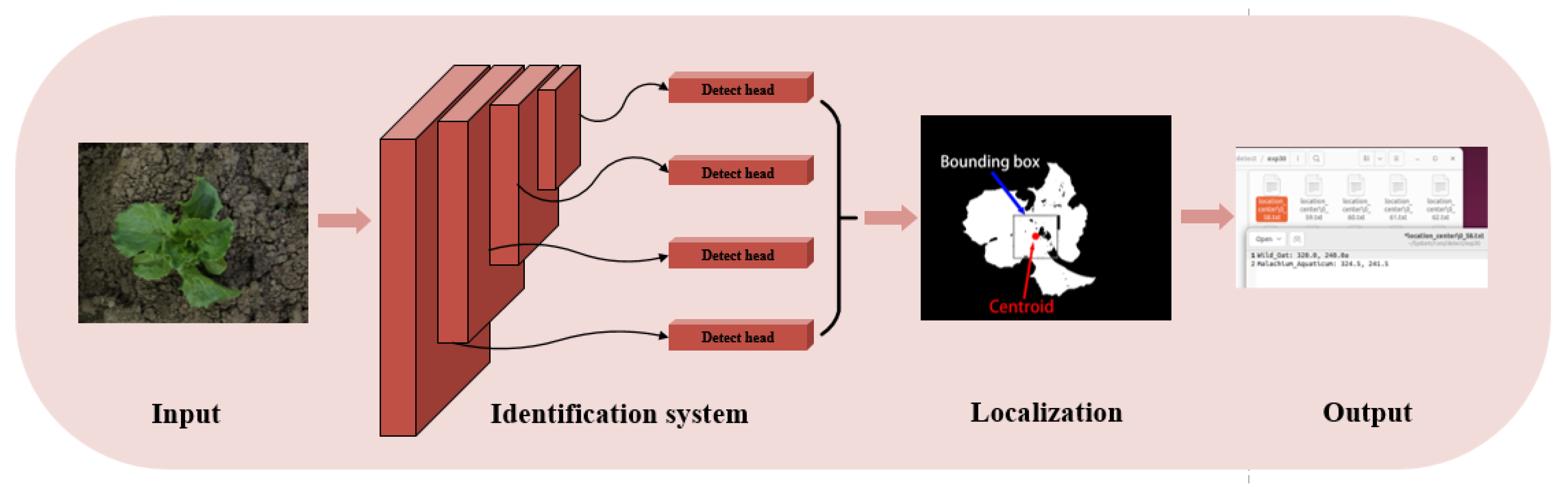 Agronomy 13 02915 g006