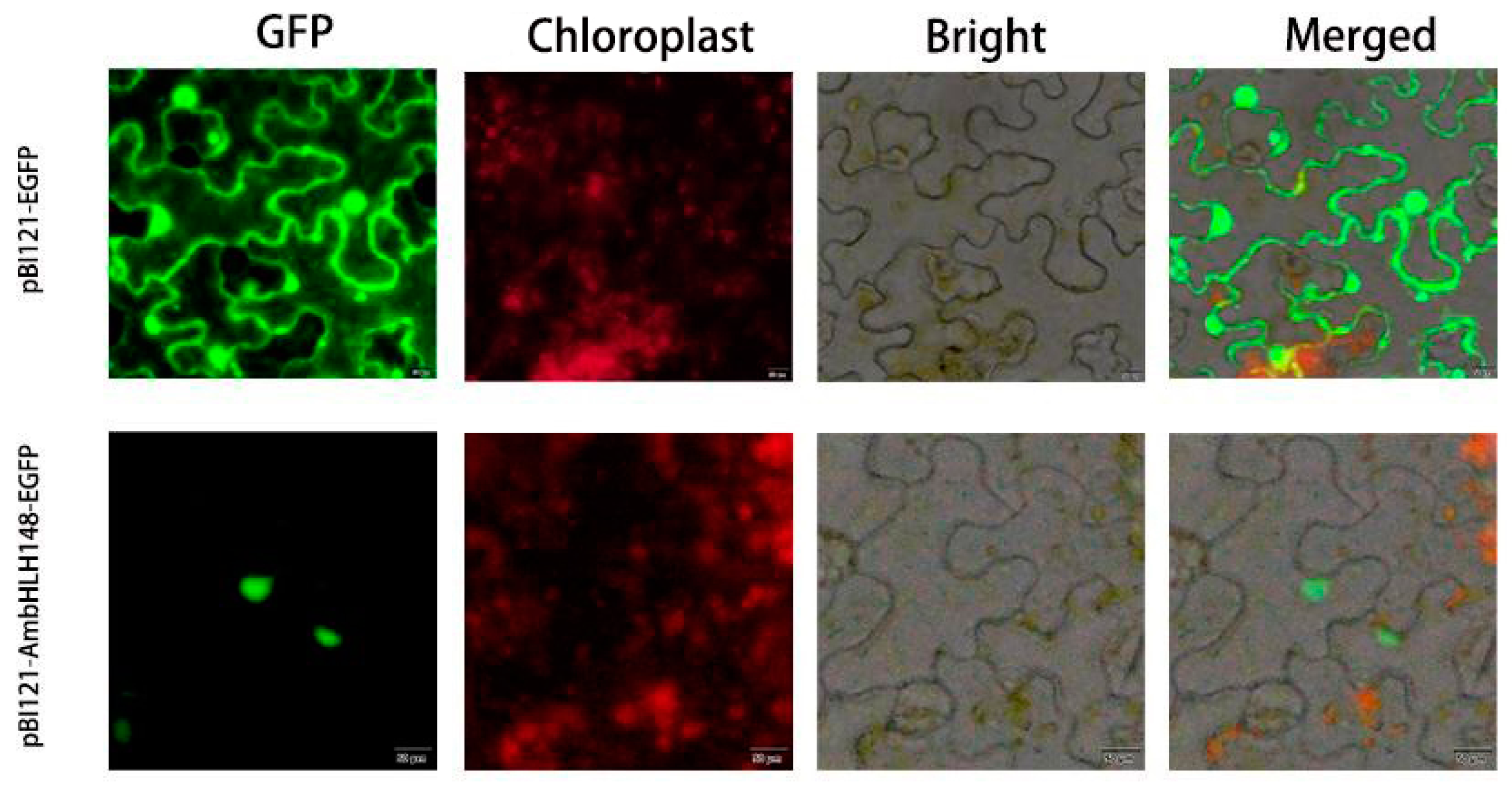 Agronomy 13 02918 g002