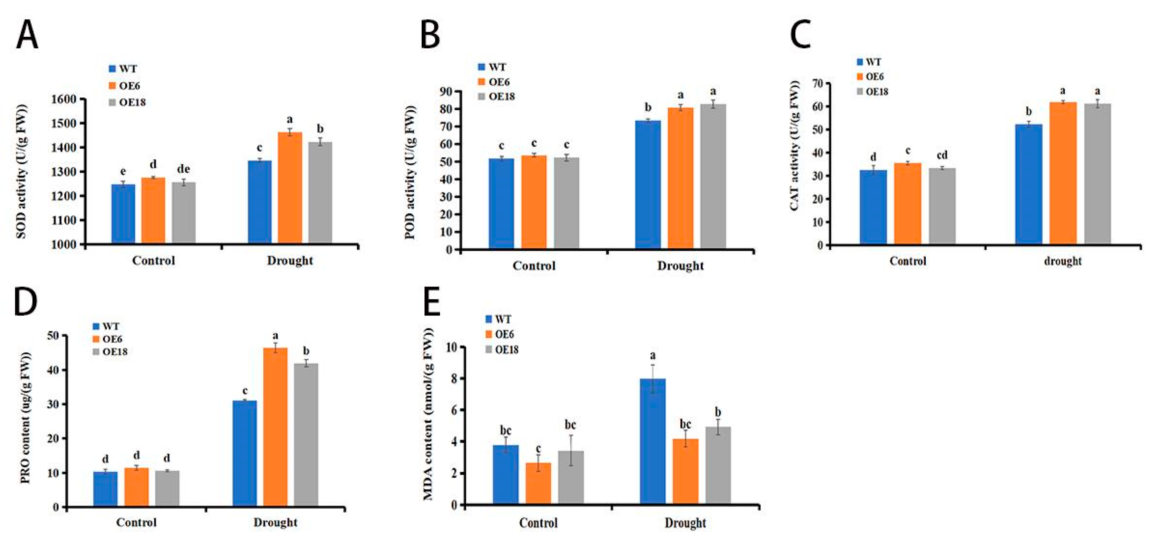 Agronomy 13 02918 g005